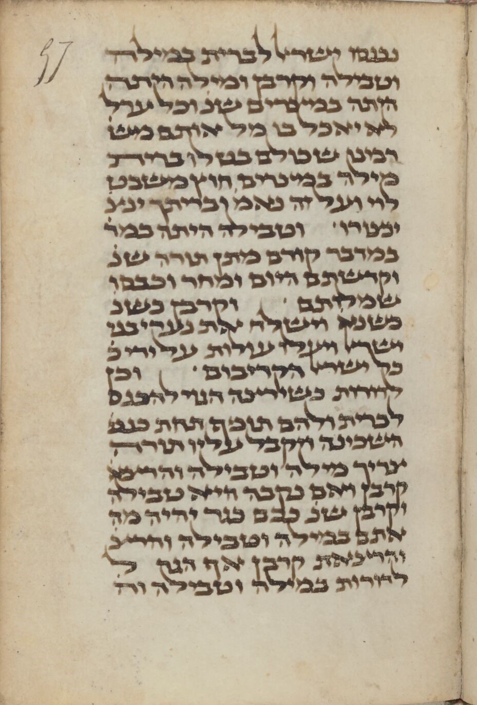 Image of item, e.g. a manuscript page