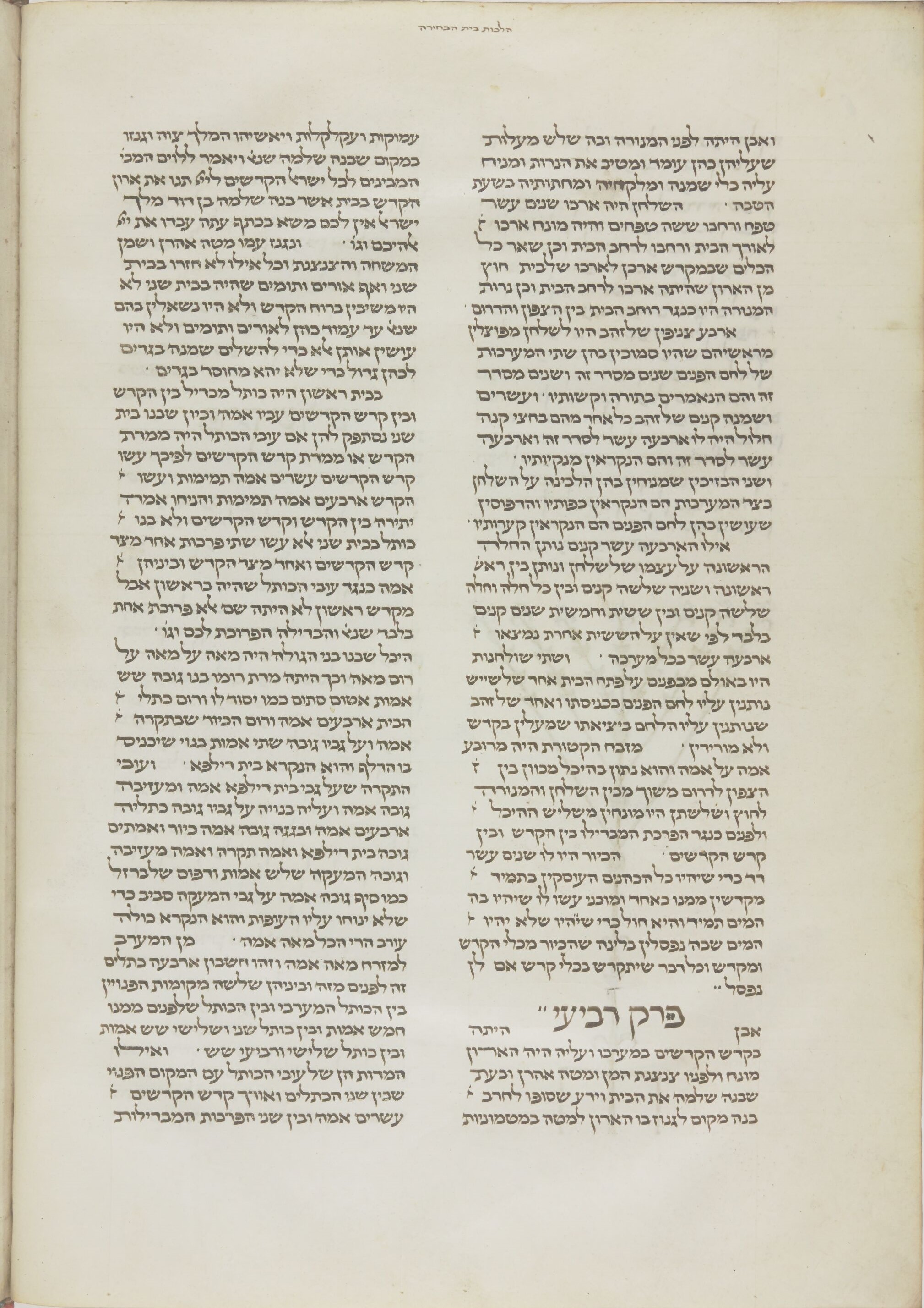 Image of item, e.g. a manuscript page
