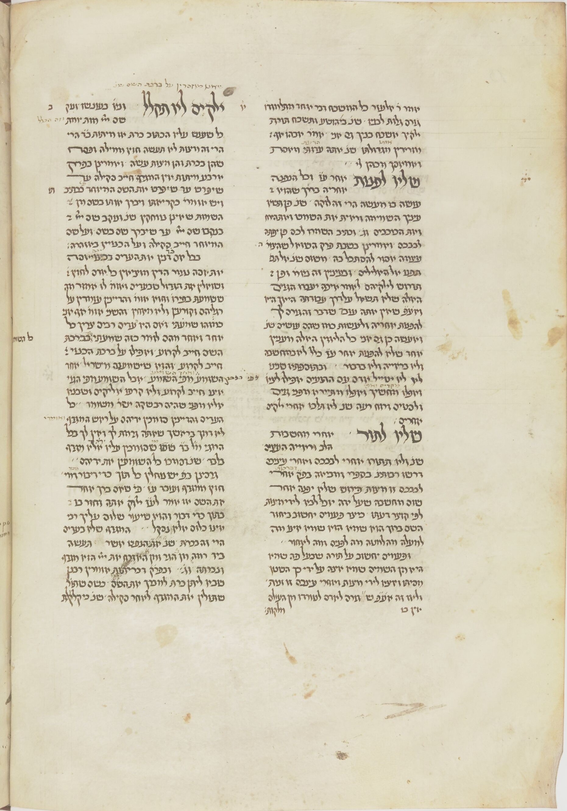 Image of item, e.g. a manuscript page