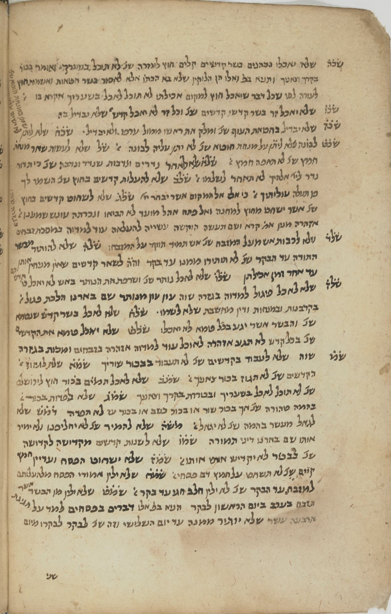 Image of item, e.g. a manuscript page