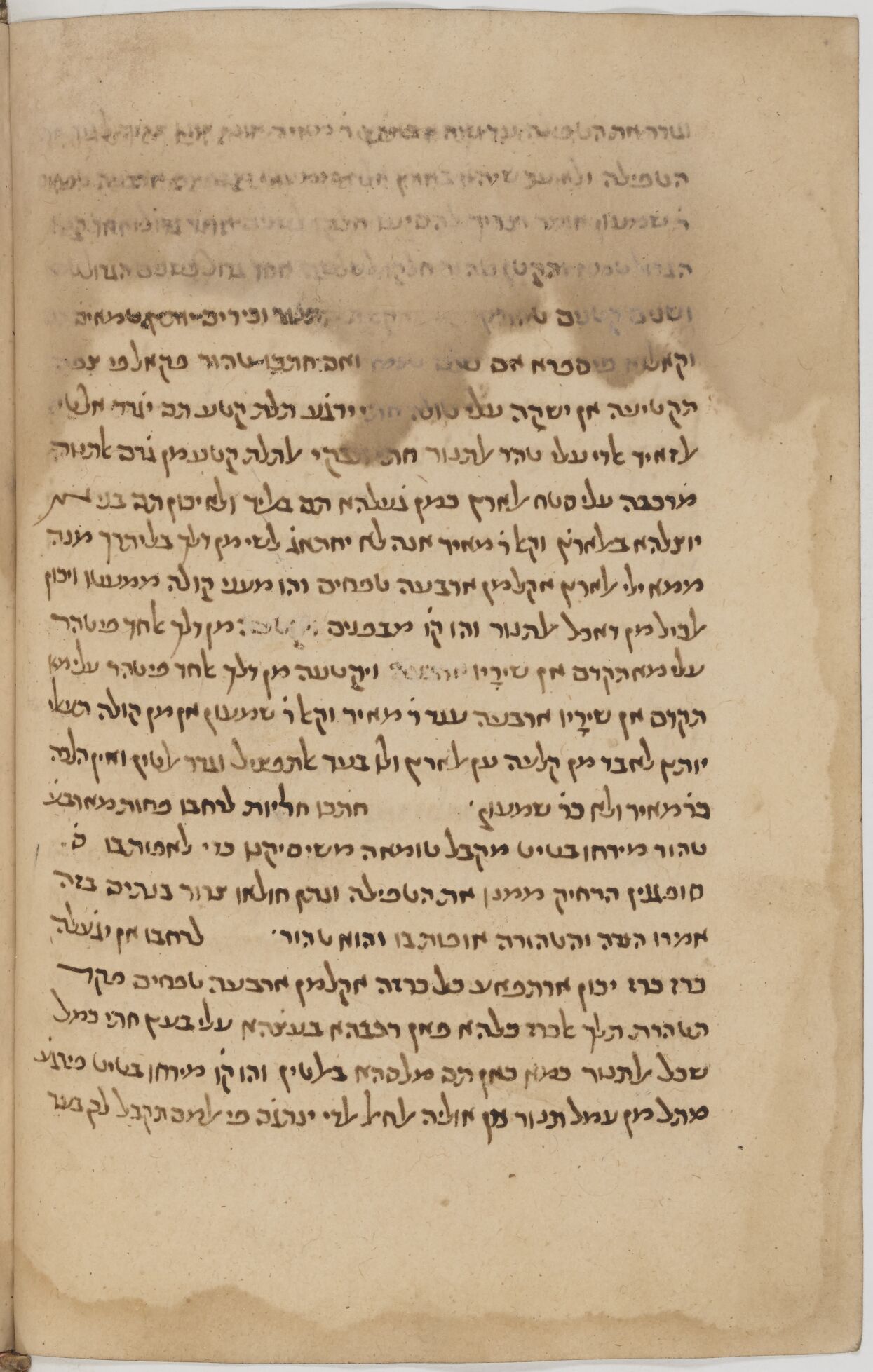 Image of item, e.g. a manuscript page