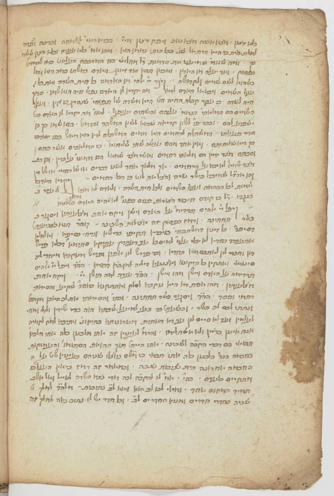 Image of item, e.g. a manuscript page