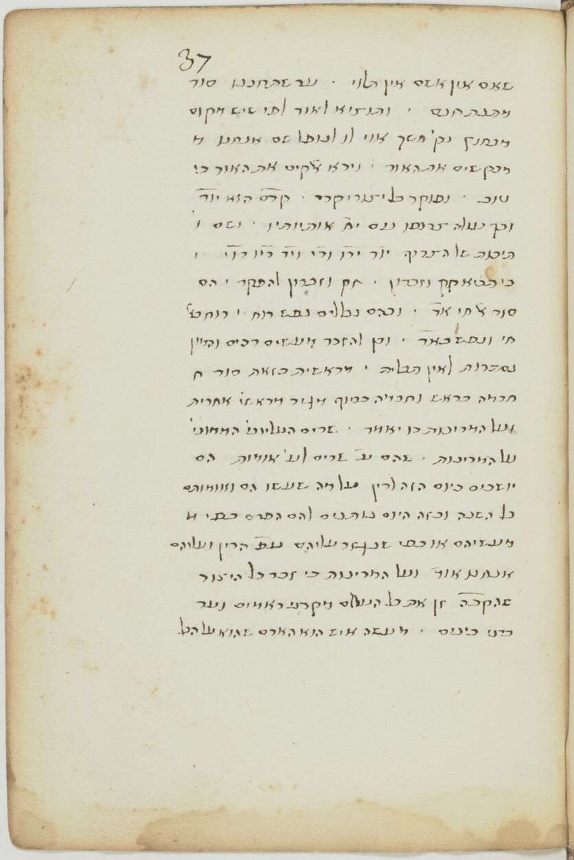 Image of item, e.g. a manuscript page