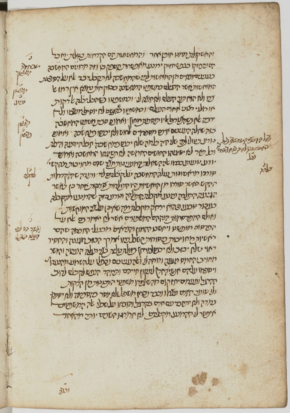 Image of item, e.g. a manuscript page