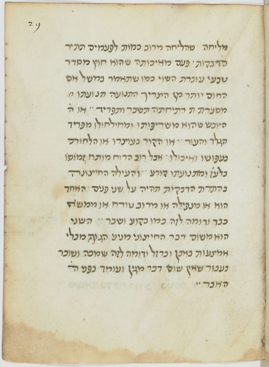 Image of item, e.g. a manuscript page