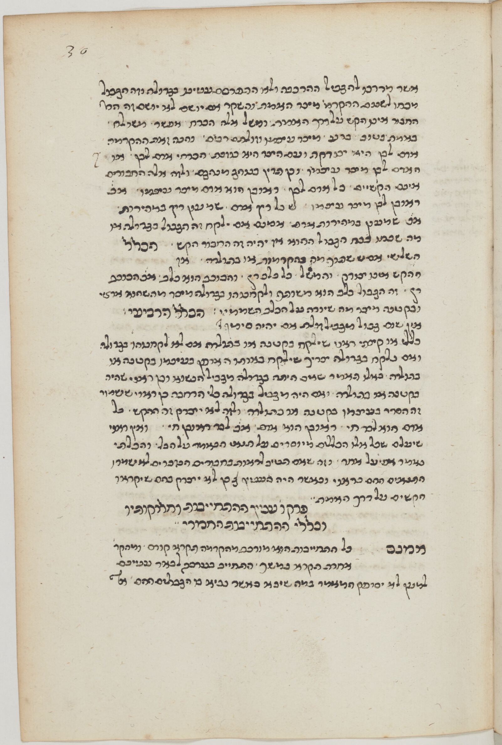 Image of item, e.g. a manuscript page
