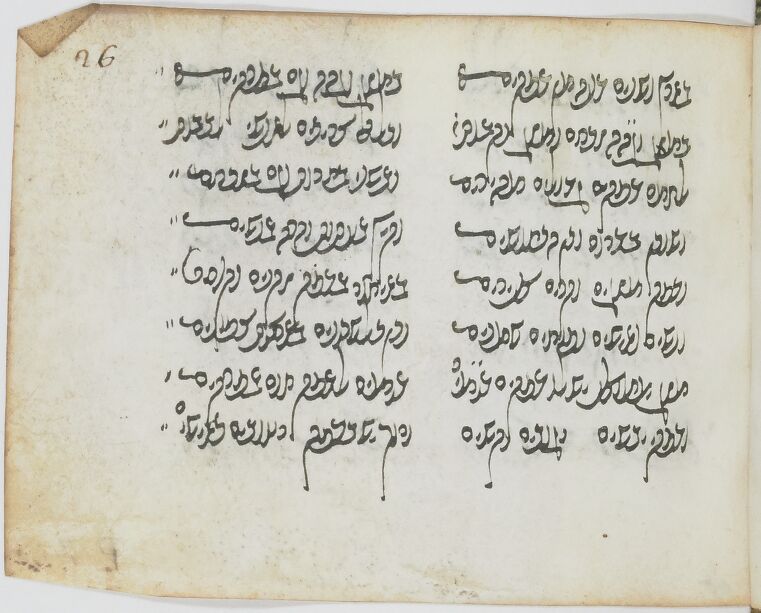 Image of item, e.g. a manuscript page