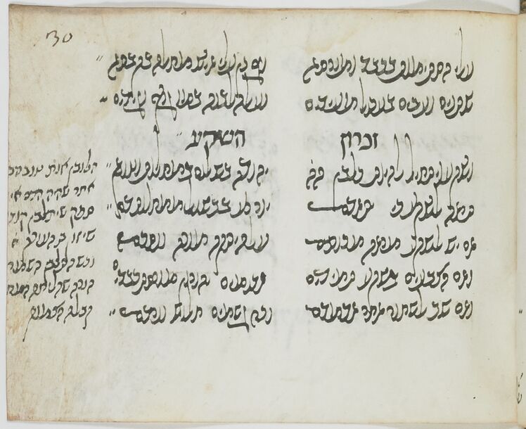 Image of item, e.g. a manuscript page