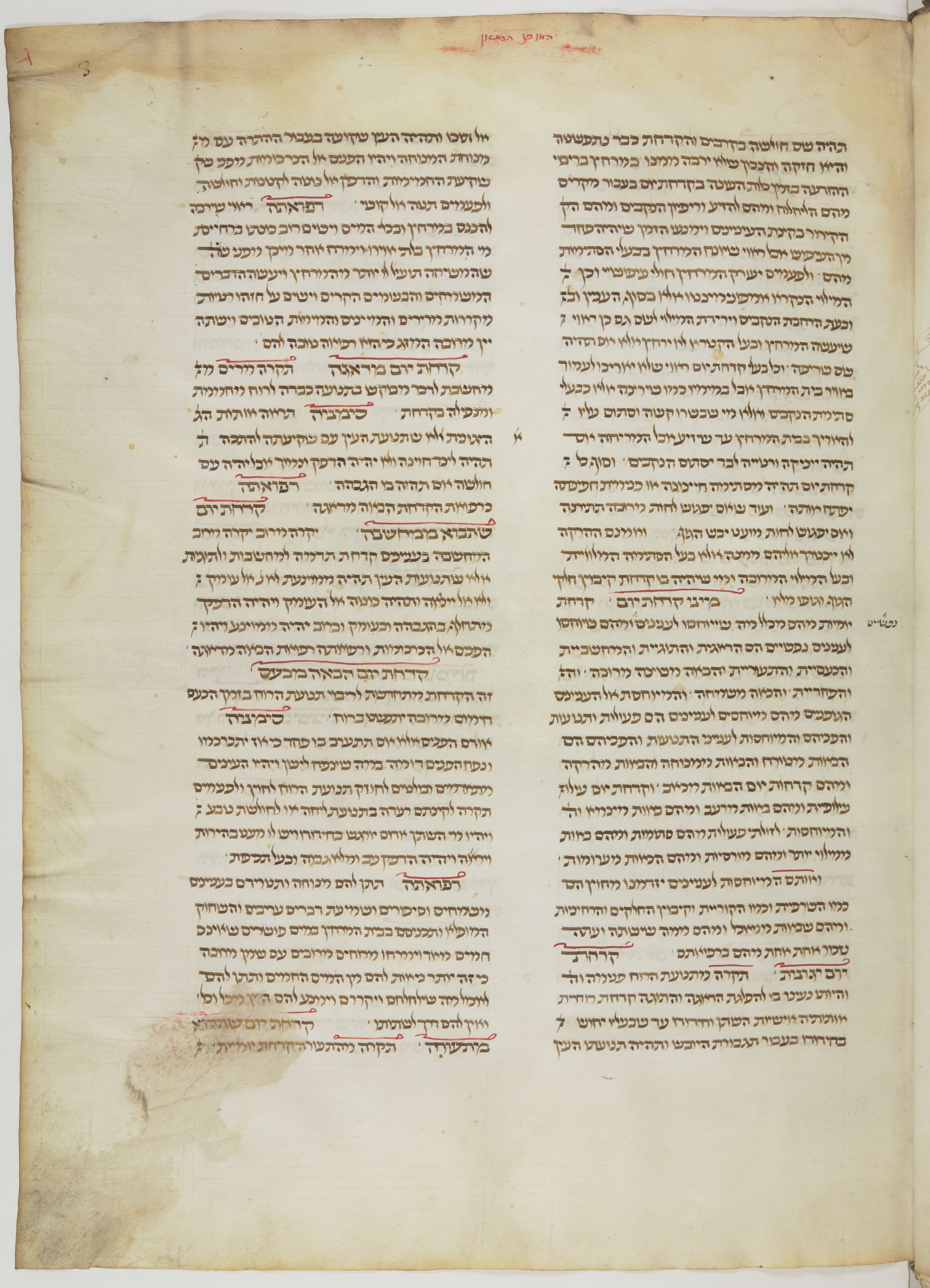 Image of item, e.g. a manuscript page