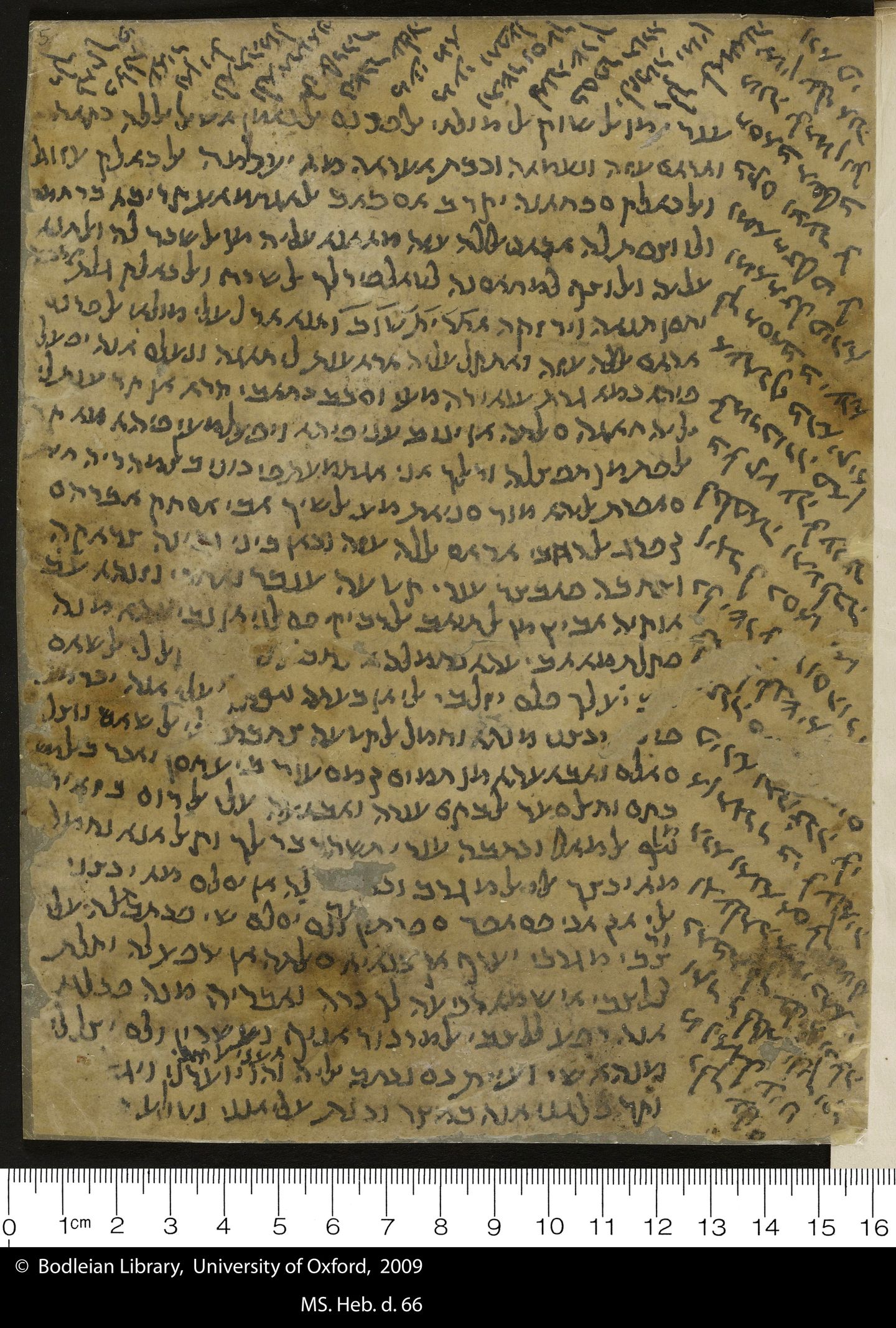 Image of item, e.g. a manuscript page