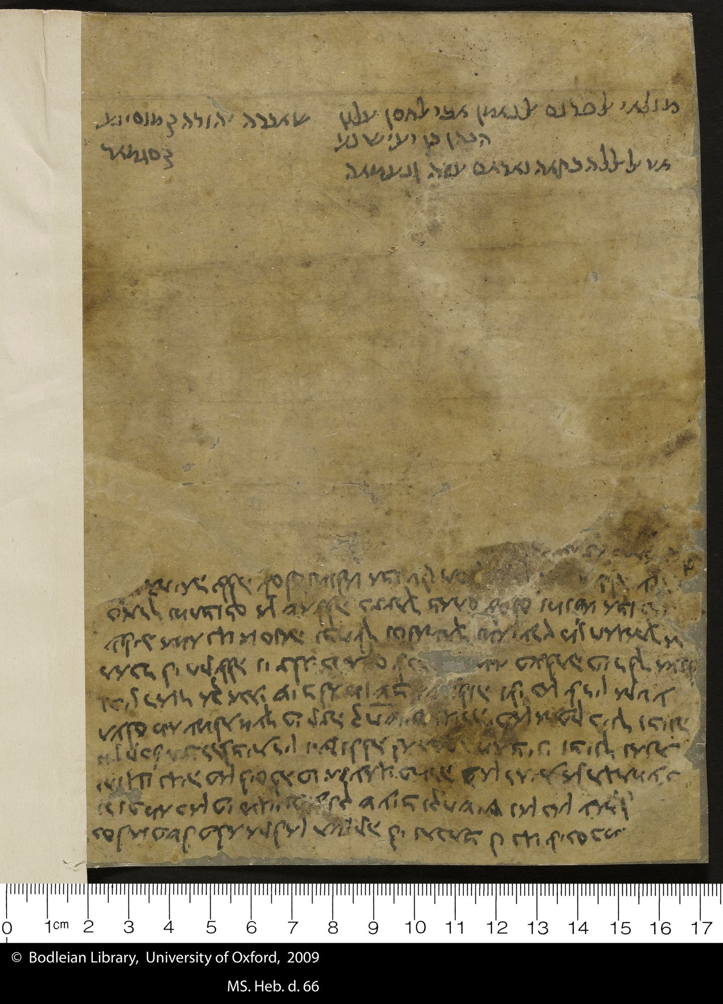 Image of item, e.g. a manuscript page