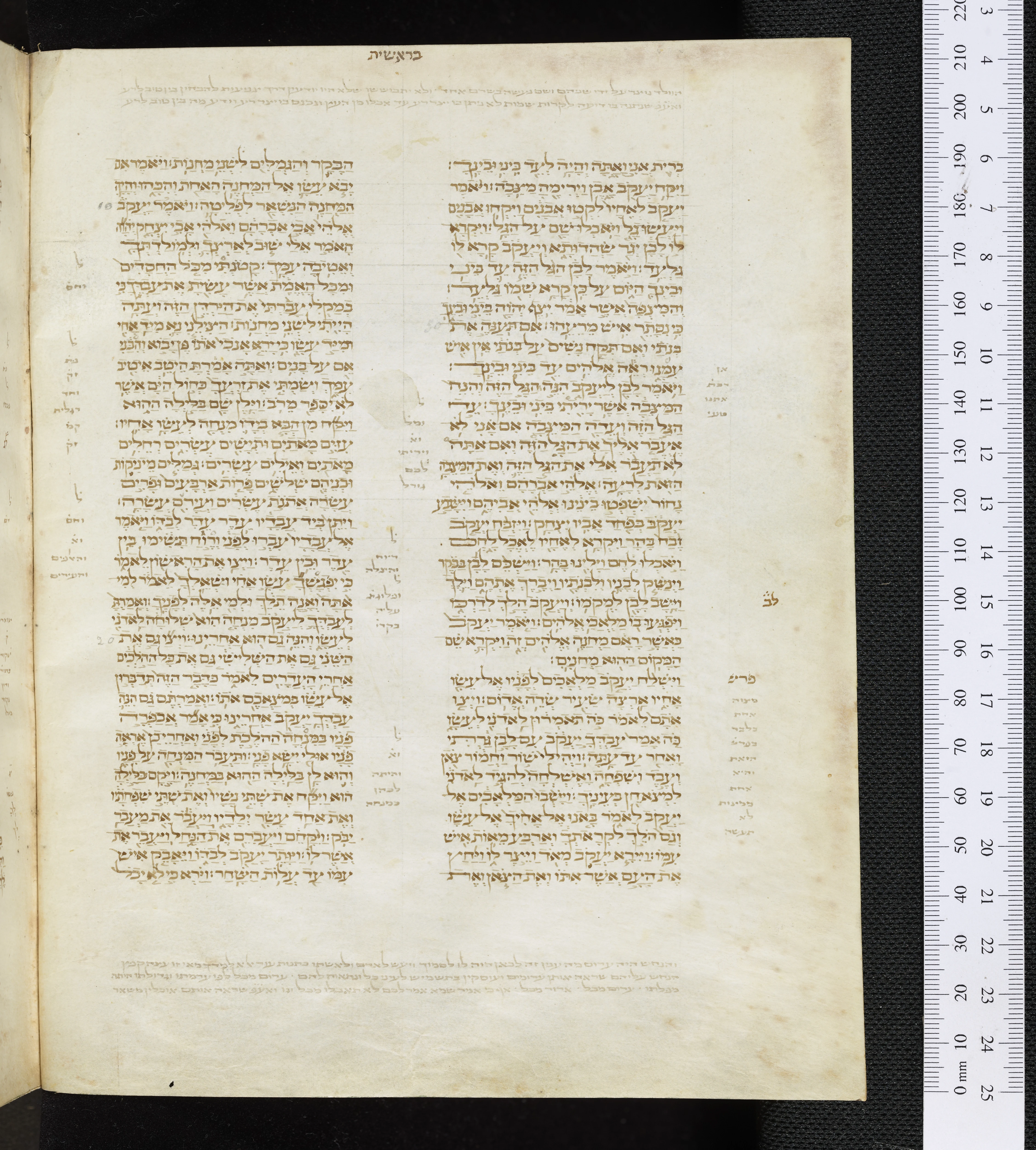 Image of item, e.g. a manuscript page