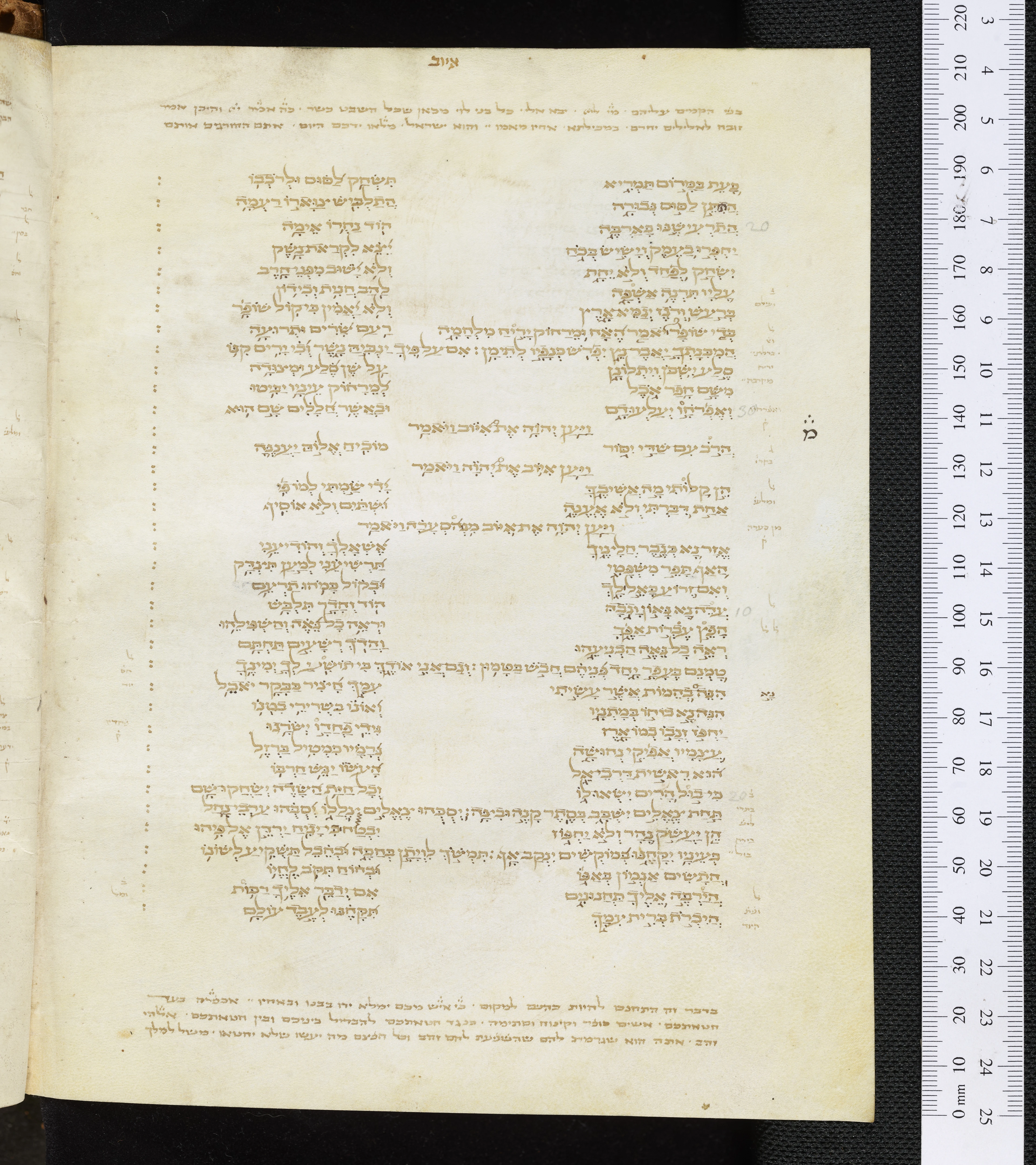 Image of item, e.g. a manuscript page