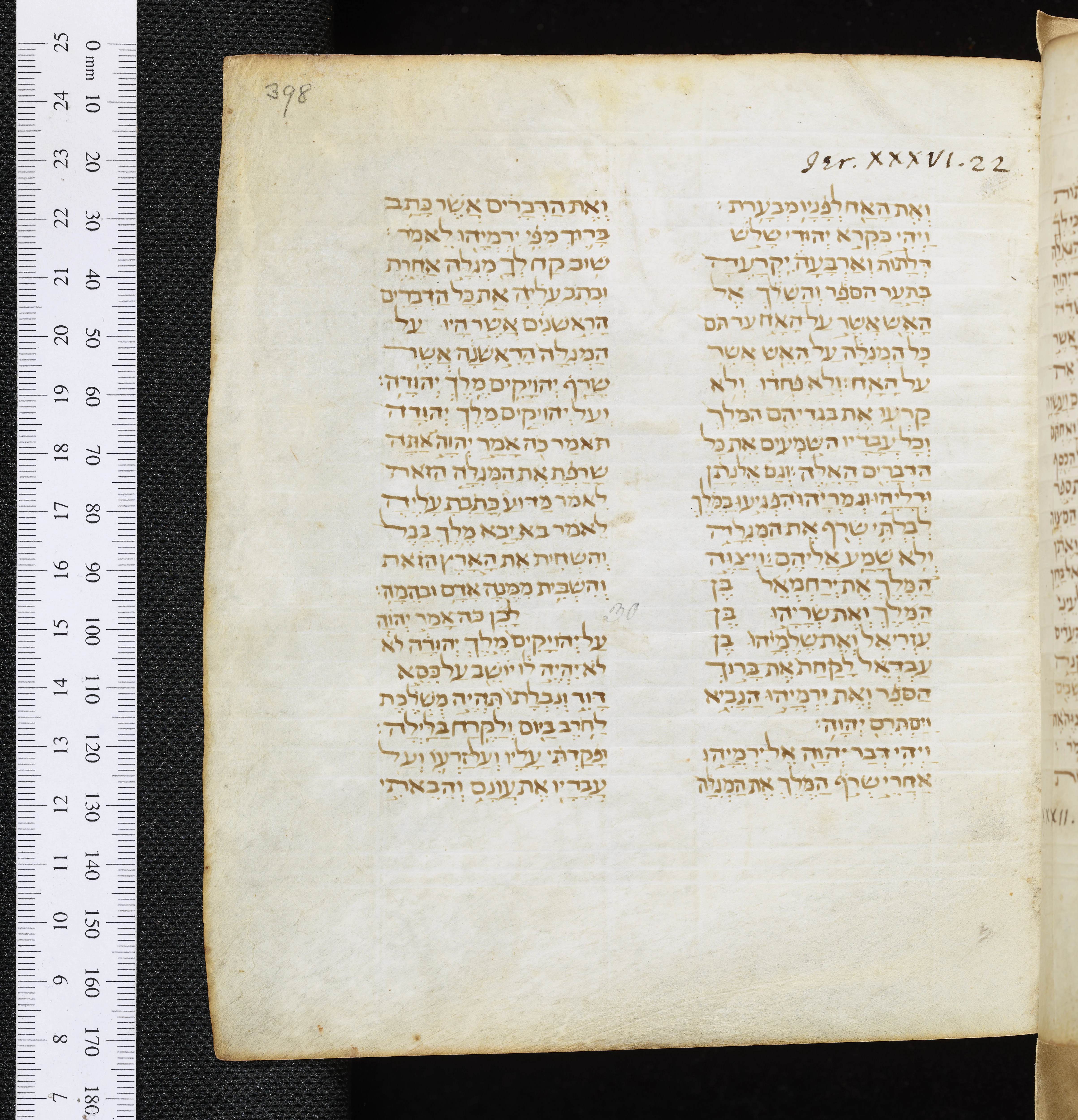 Image of item, e.g. a manuscript page