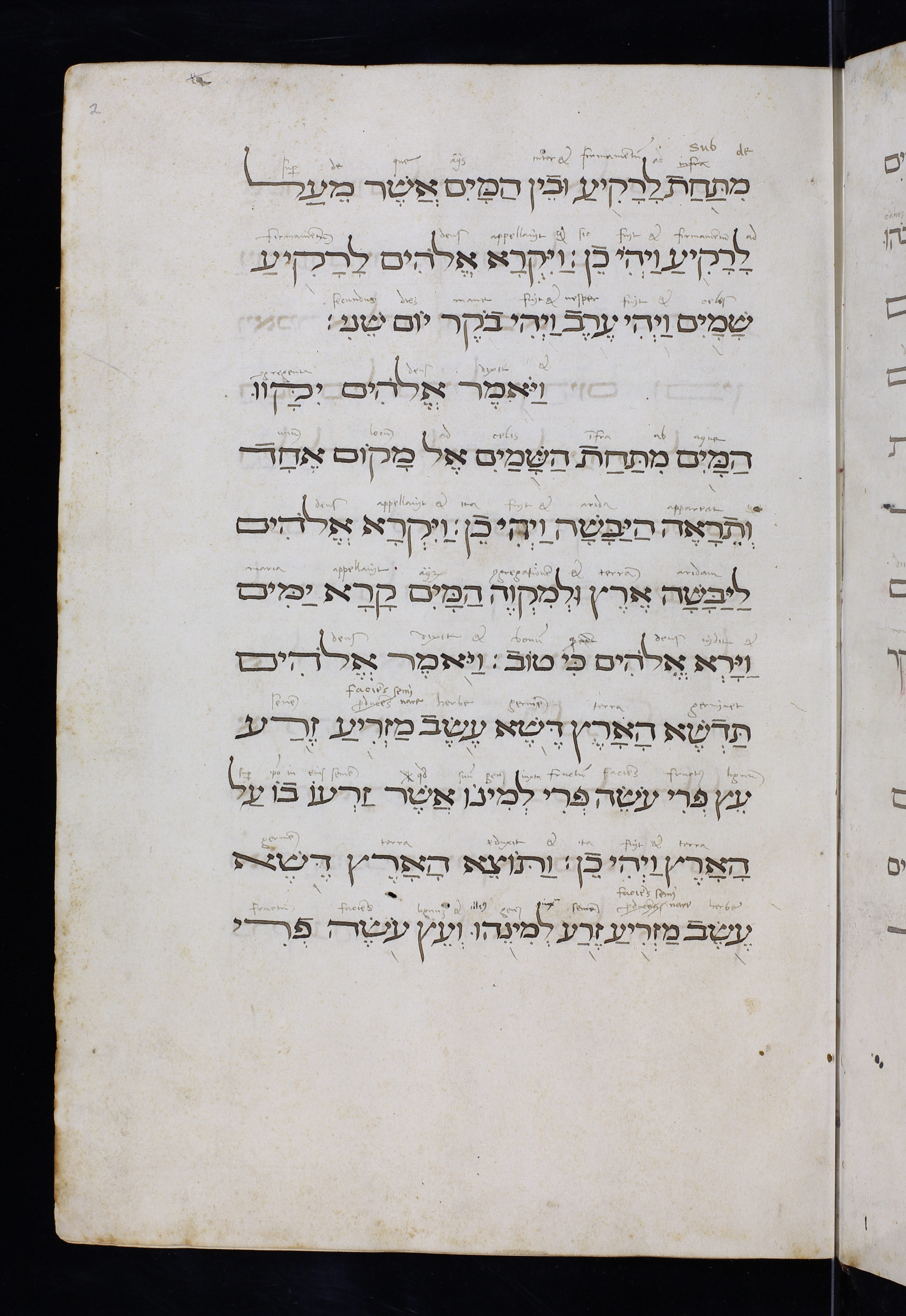 Image of item, e.g. a manuscript page