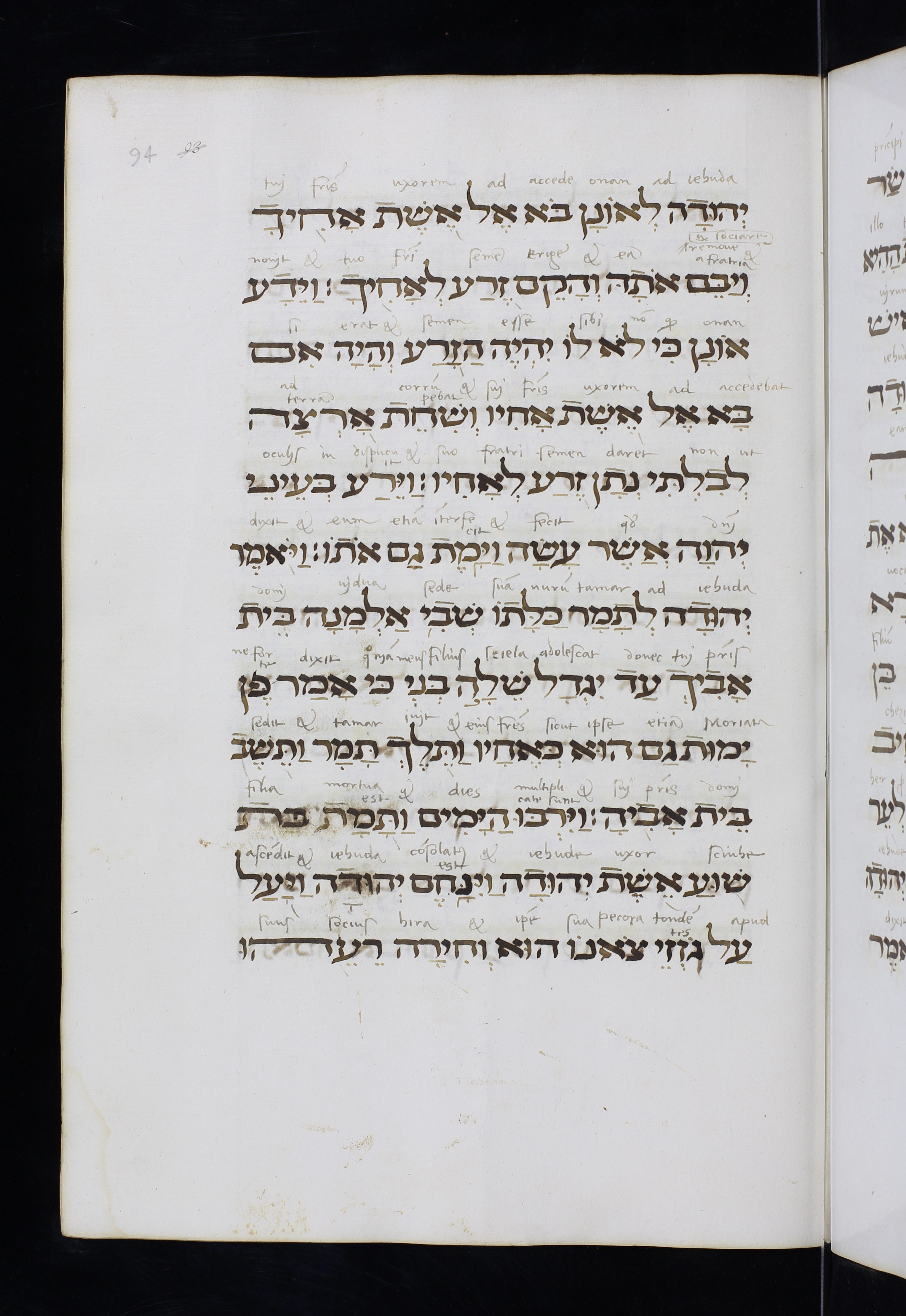 Image of item, e.g. a manuscript page