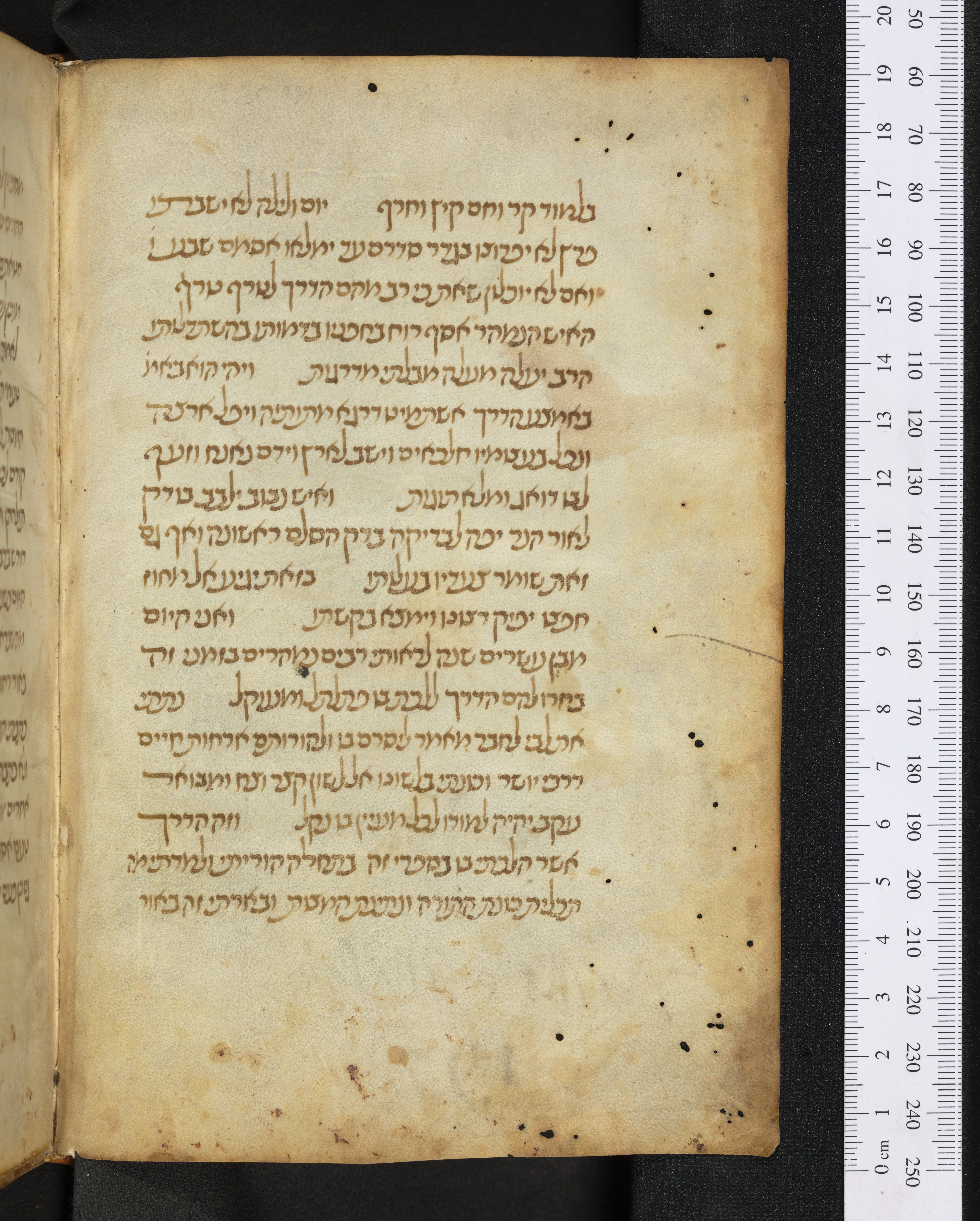 Image of item, e.g. a manuscript page
