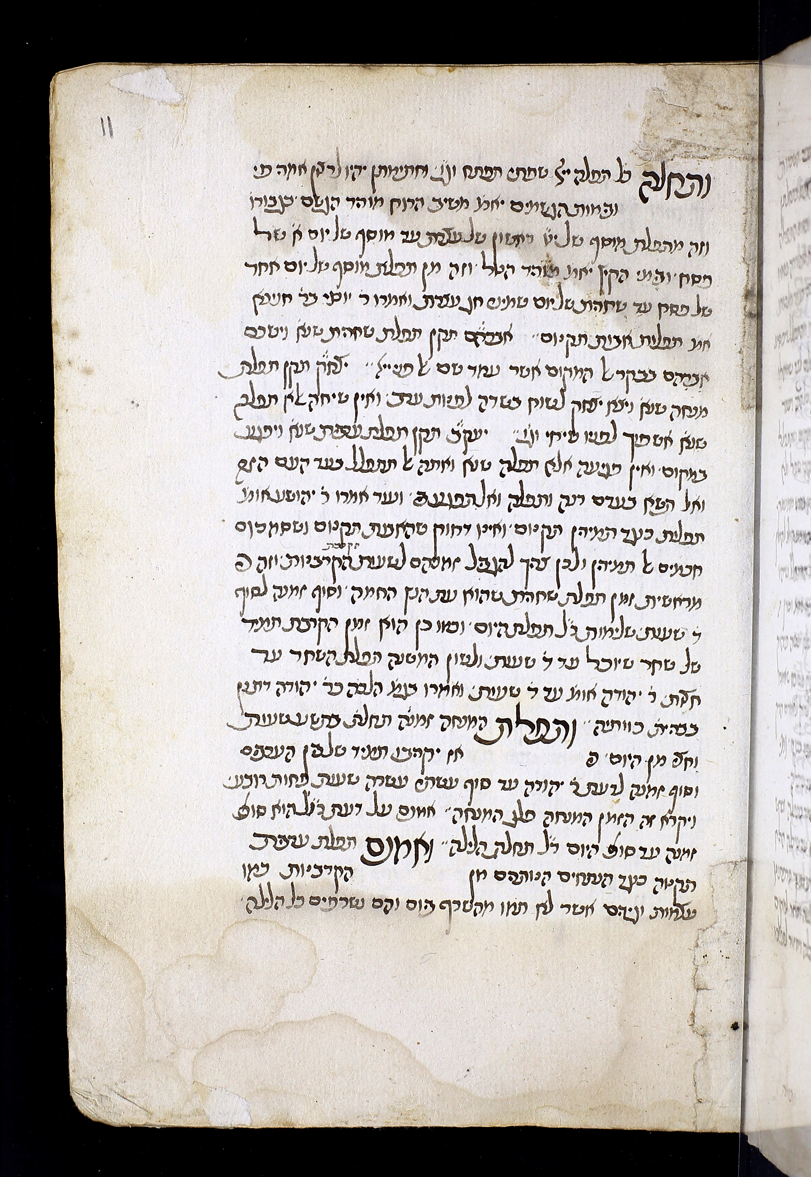 Image of item, e.g. a manuscript page