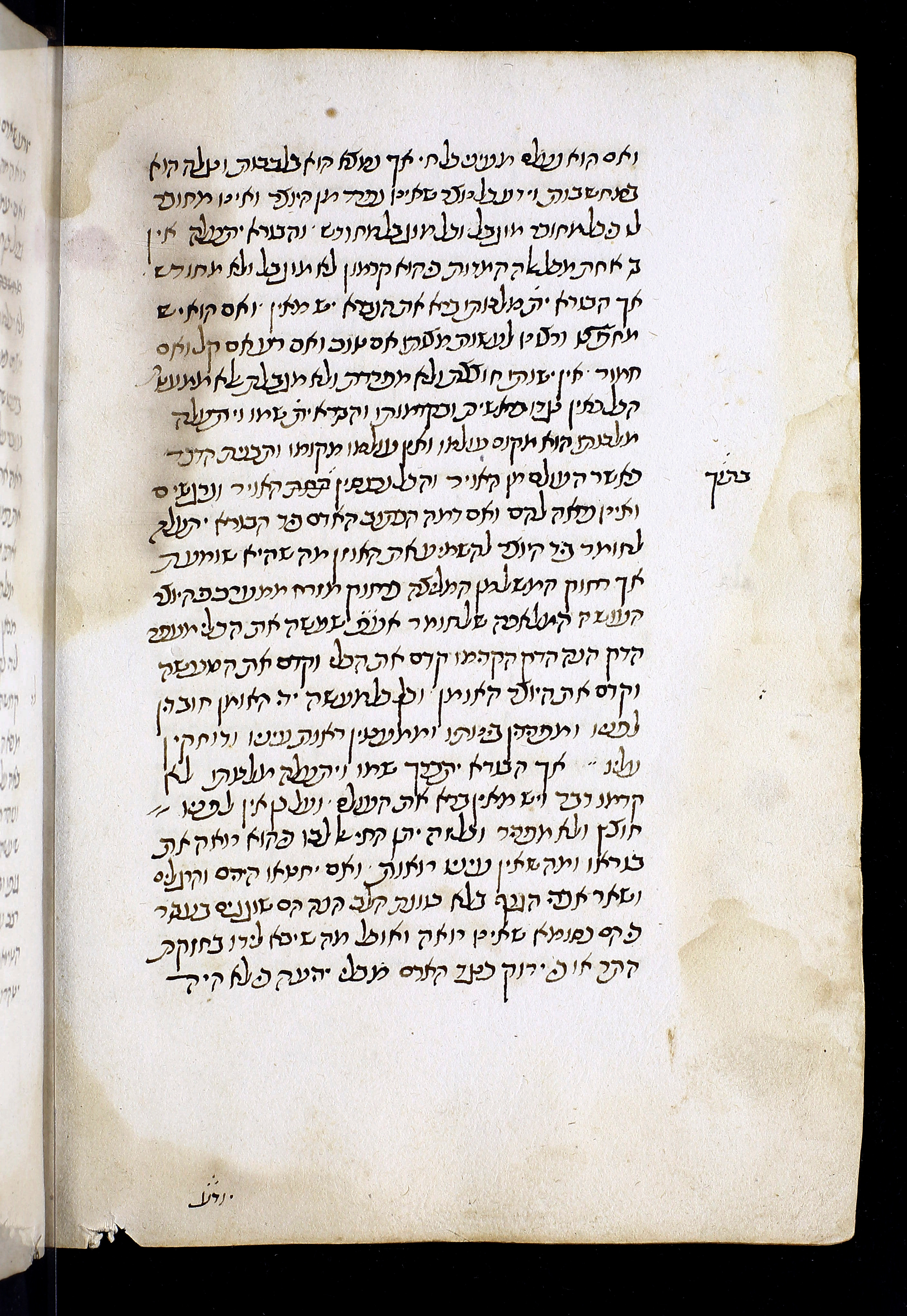 Image of item, e.g. a manuscript page