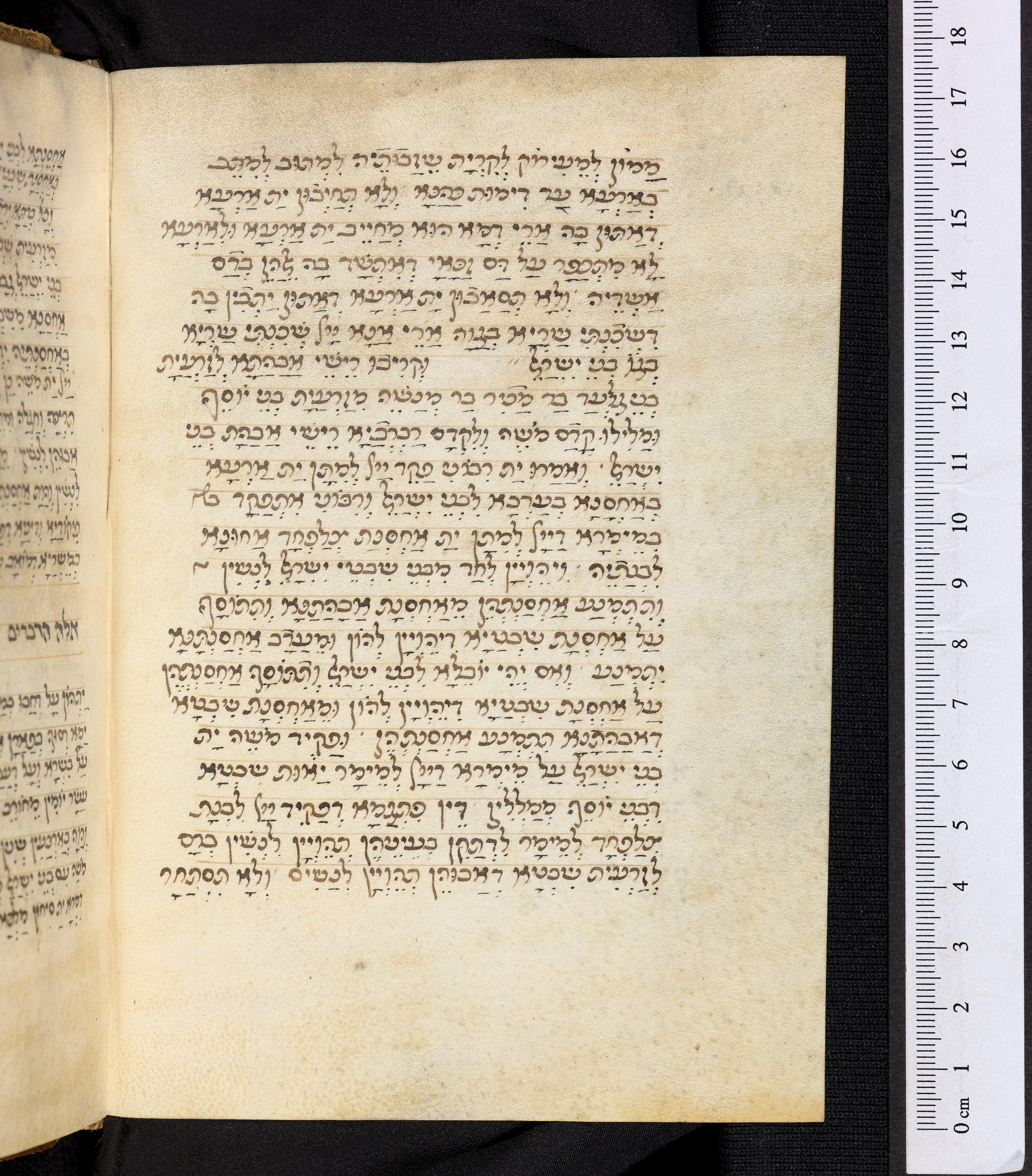 Image of item, e.g. a manuscript page