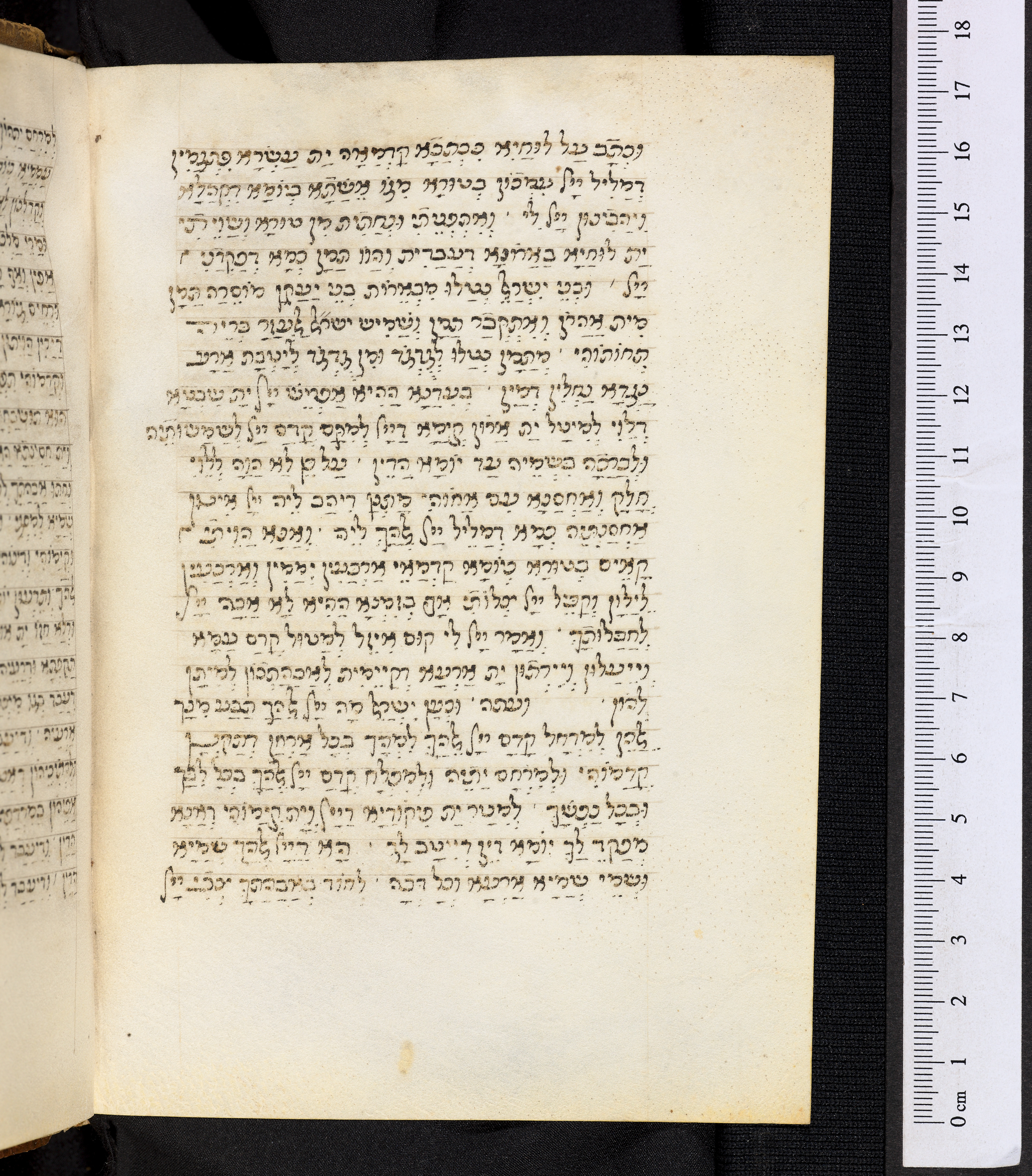 Image of item, e.g. a manuscript page