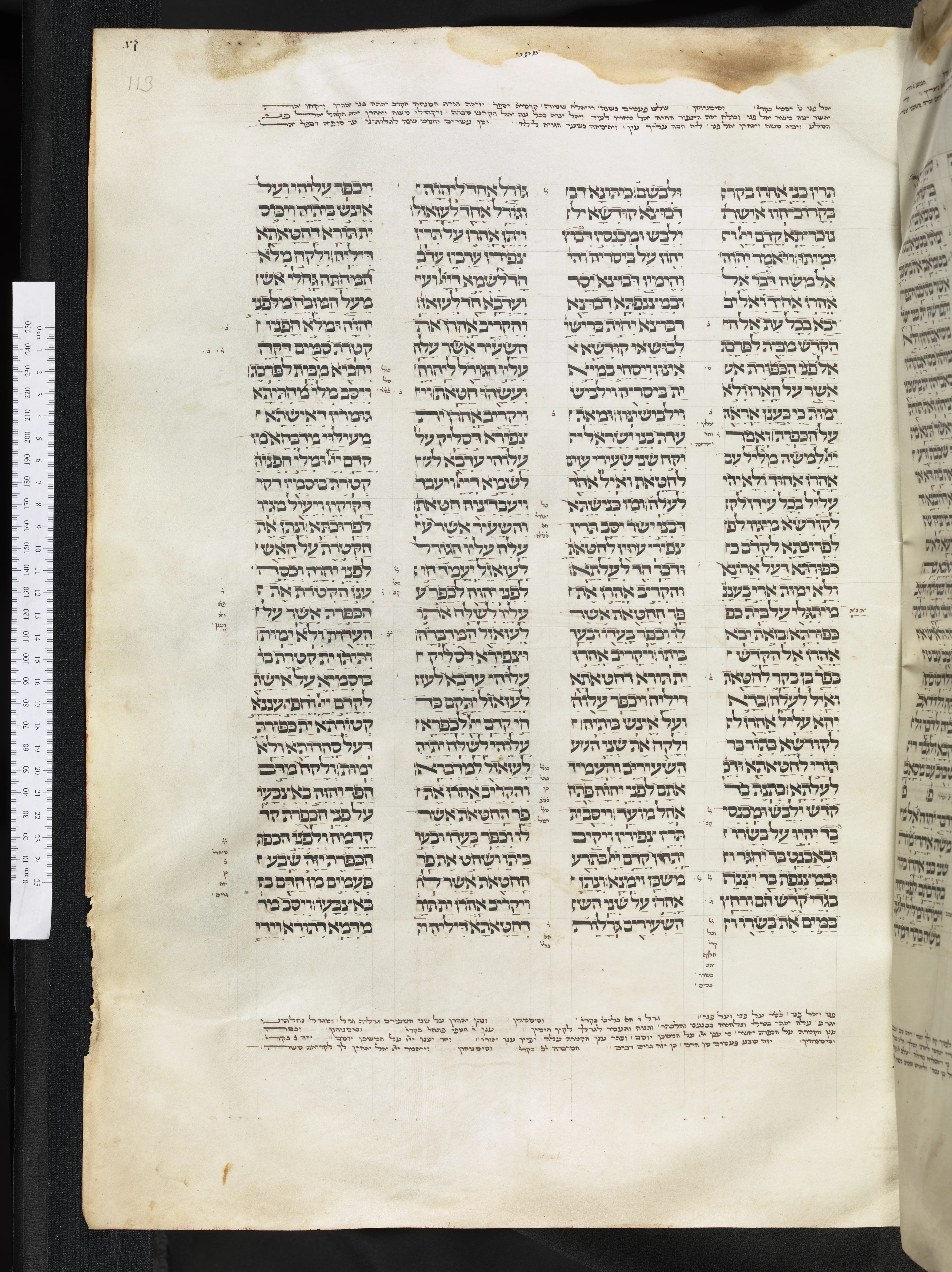 Image of item, e.g. a manuscript page