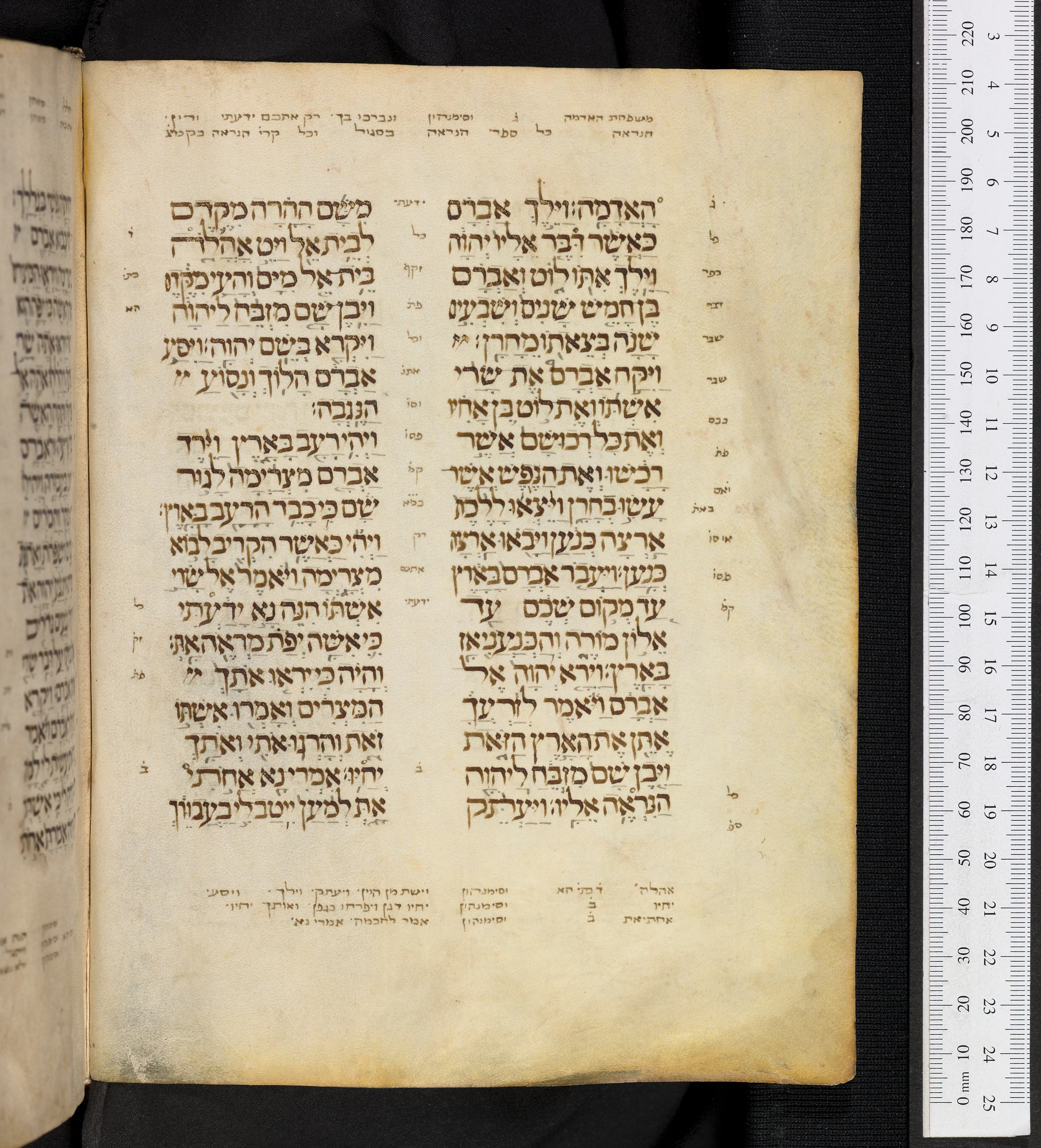 Image of item, e.g. a manuscript page