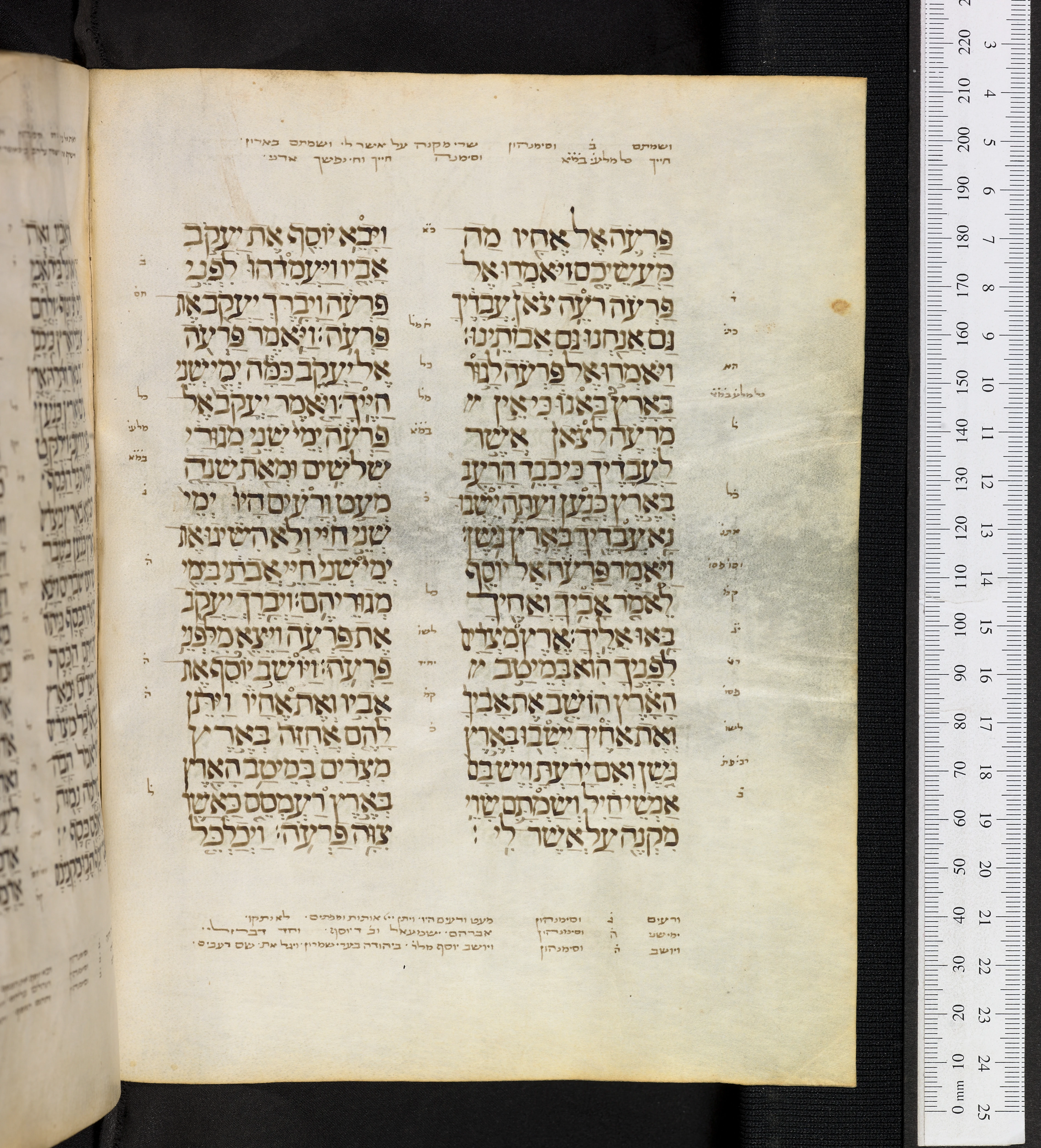 Image of item, e.g. a manuscript page