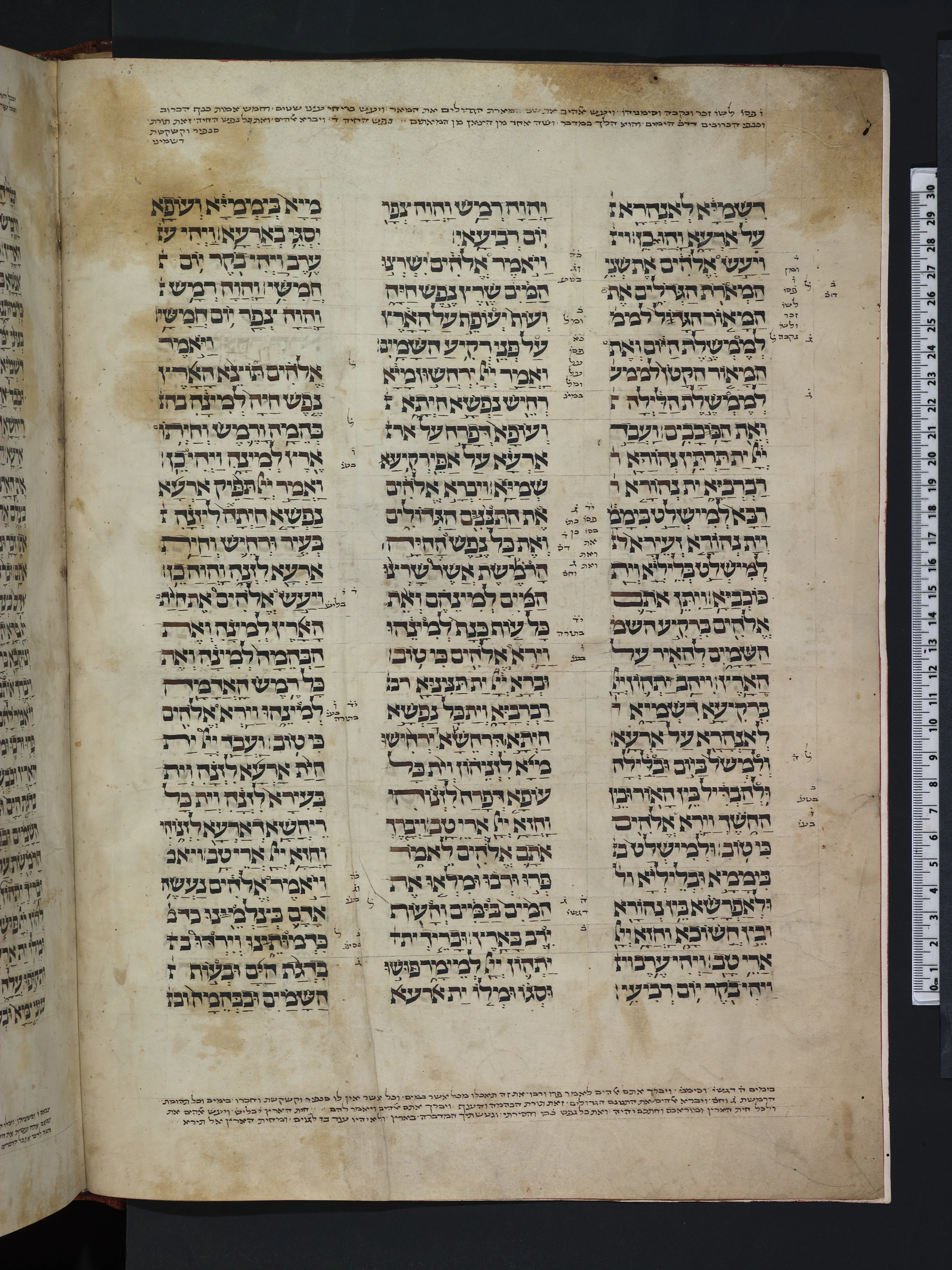 Image of item, e.g. a manuscript page