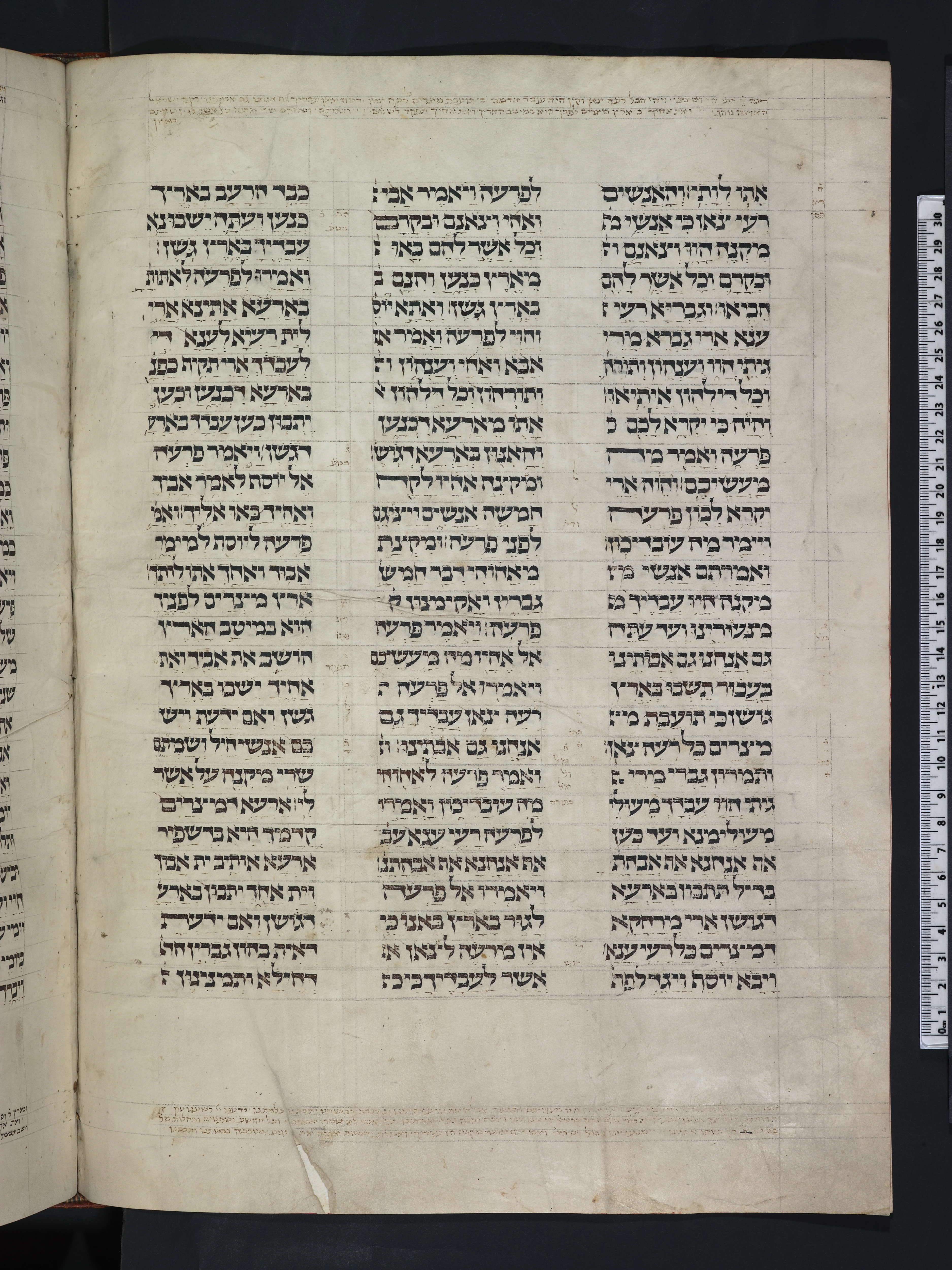 Image of item, e.g. a manuscript page