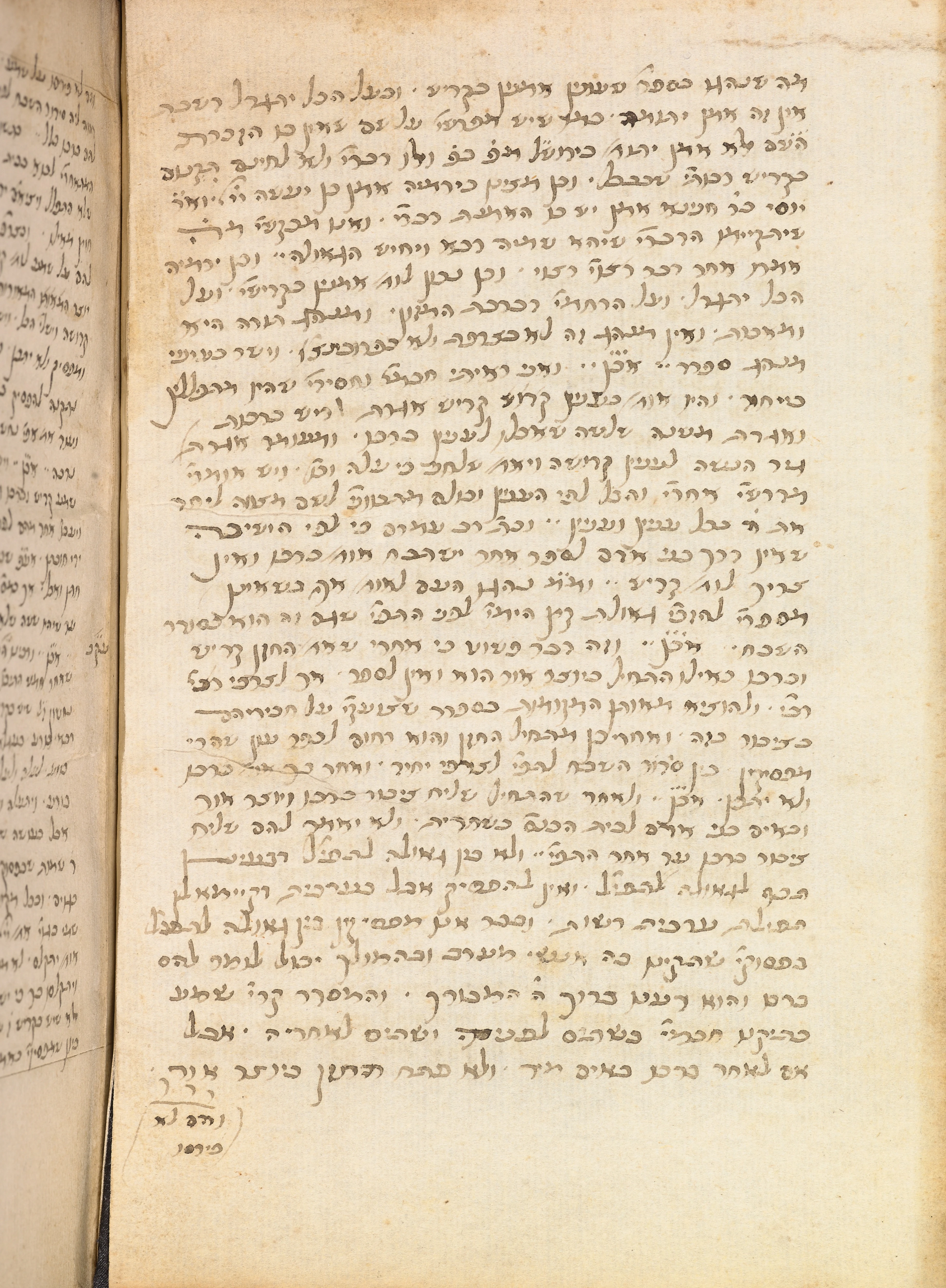 Image of item, e.g. a manuscript page