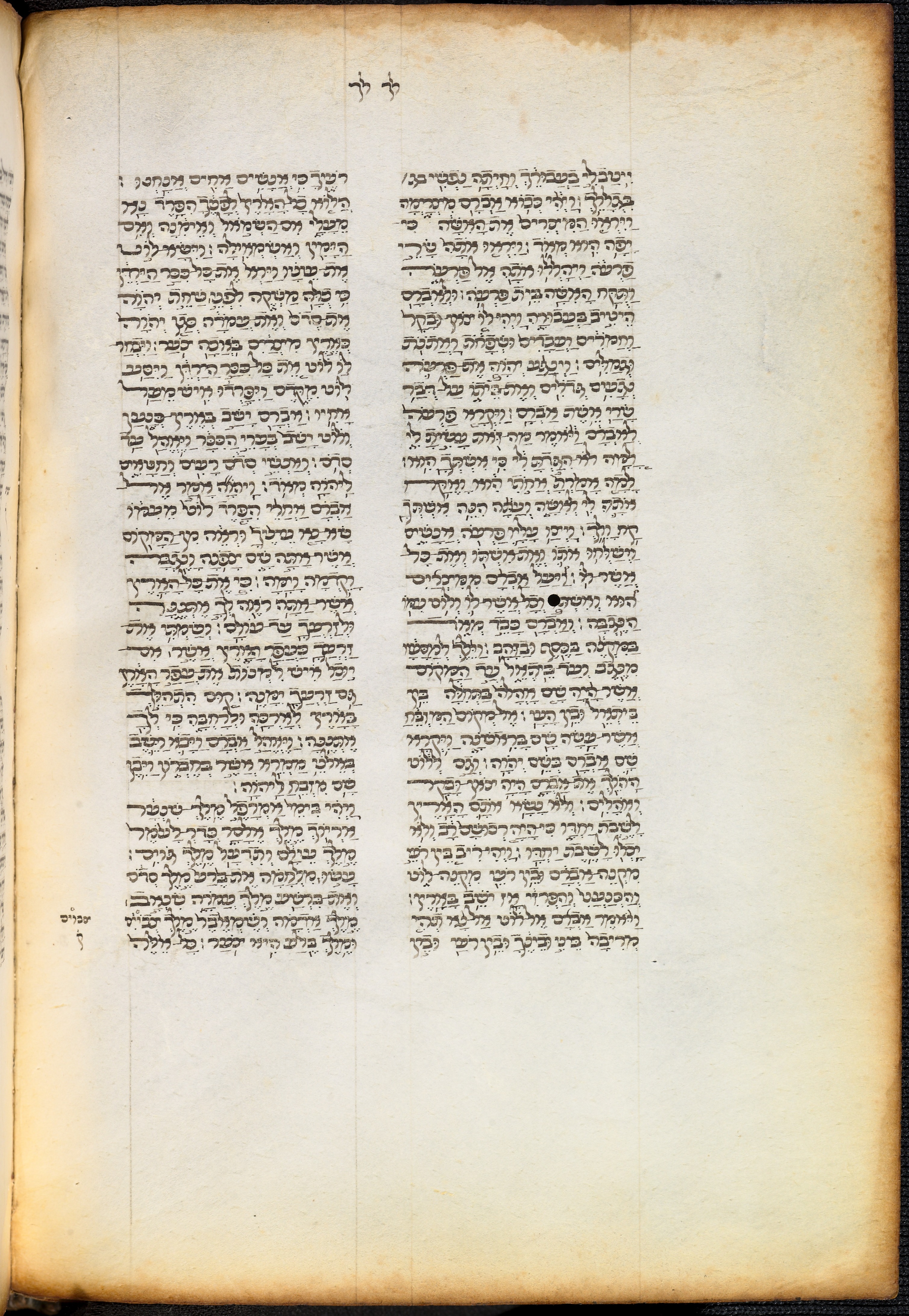 Image of item, e.g. a manuscript page