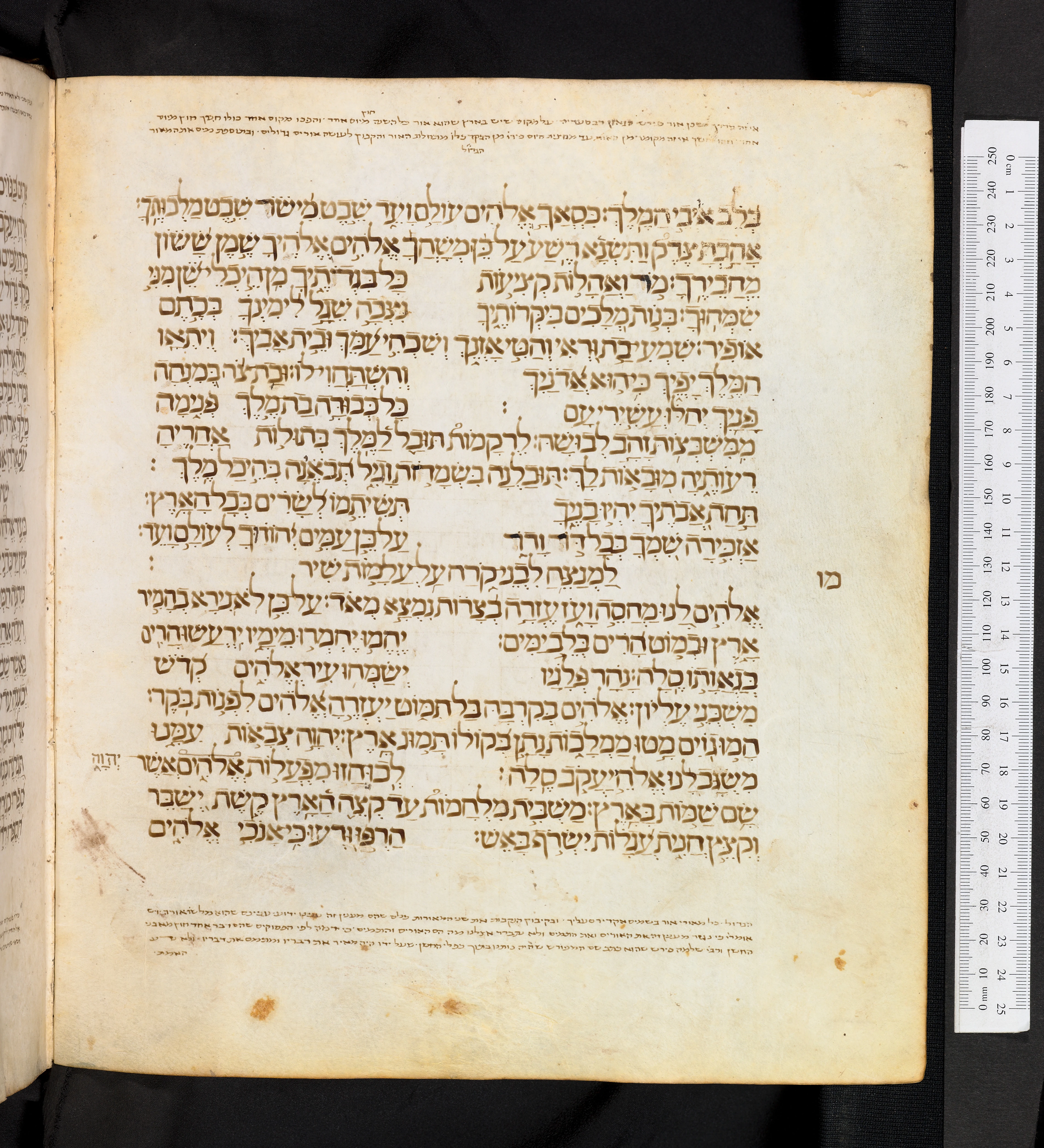 Image of item, e.g. a manuscript page