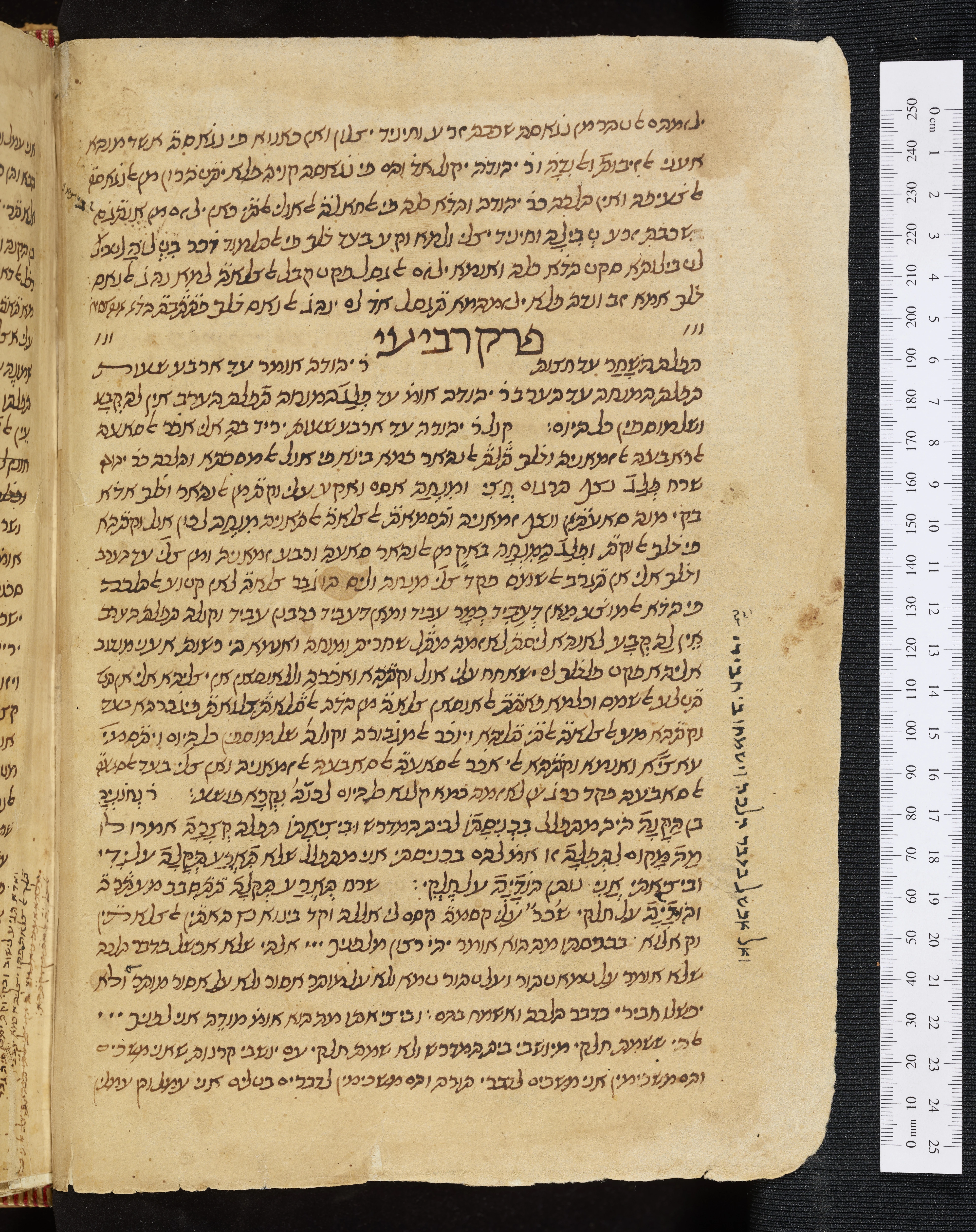 Image of item, e.g. a manuscript page