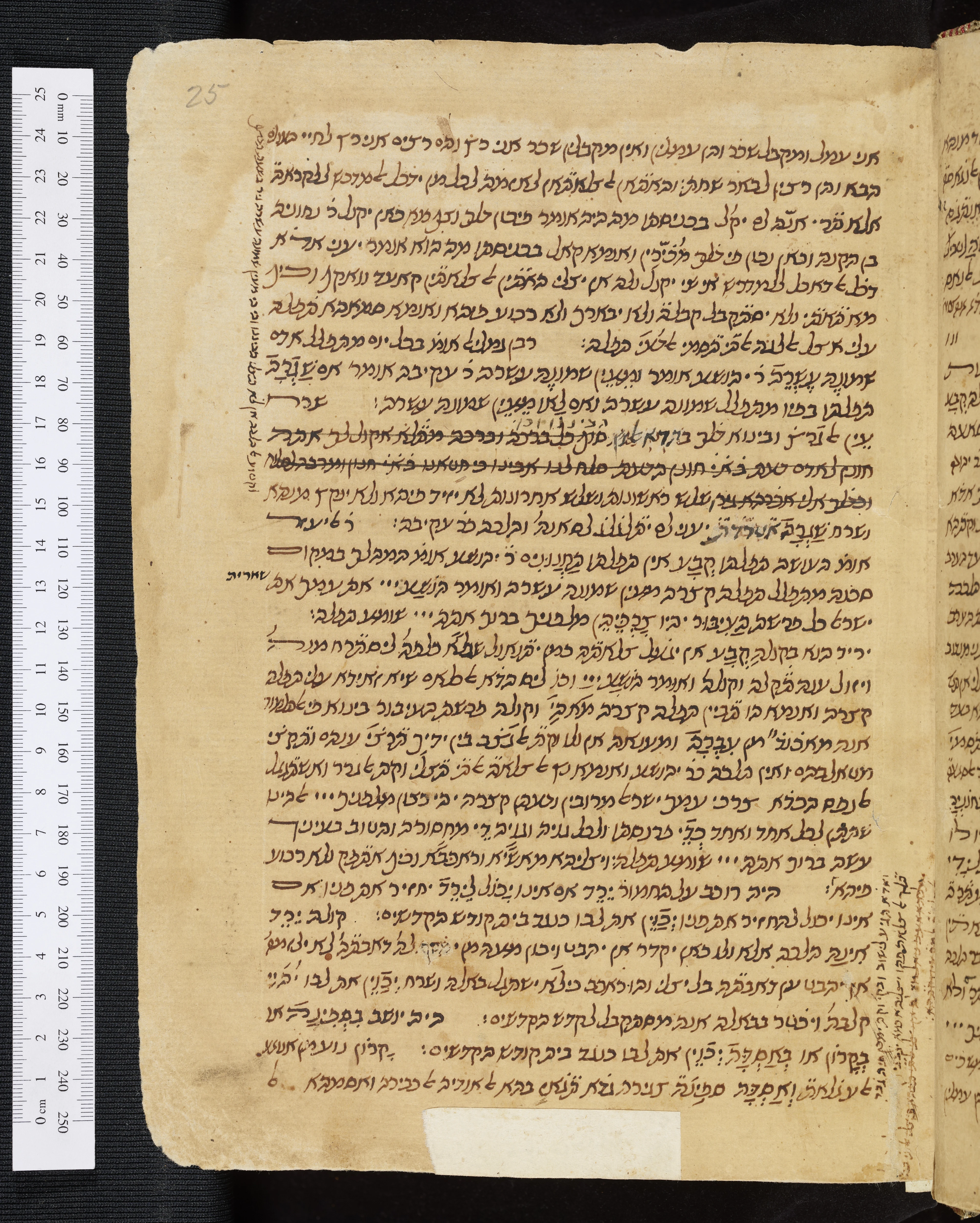 Image of item, e.g. a manuscript page