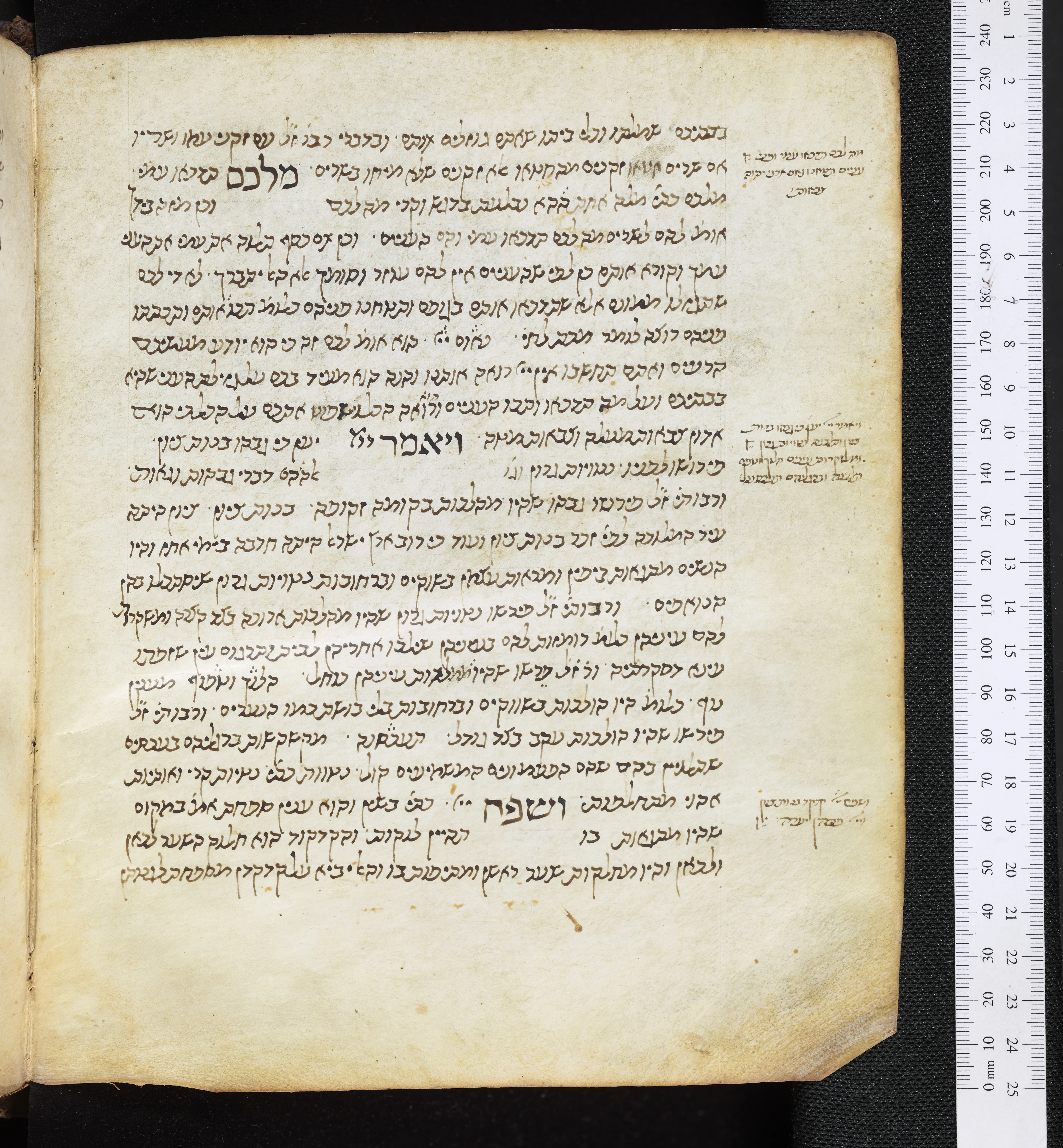 Image of item, e.g. a manuscript page