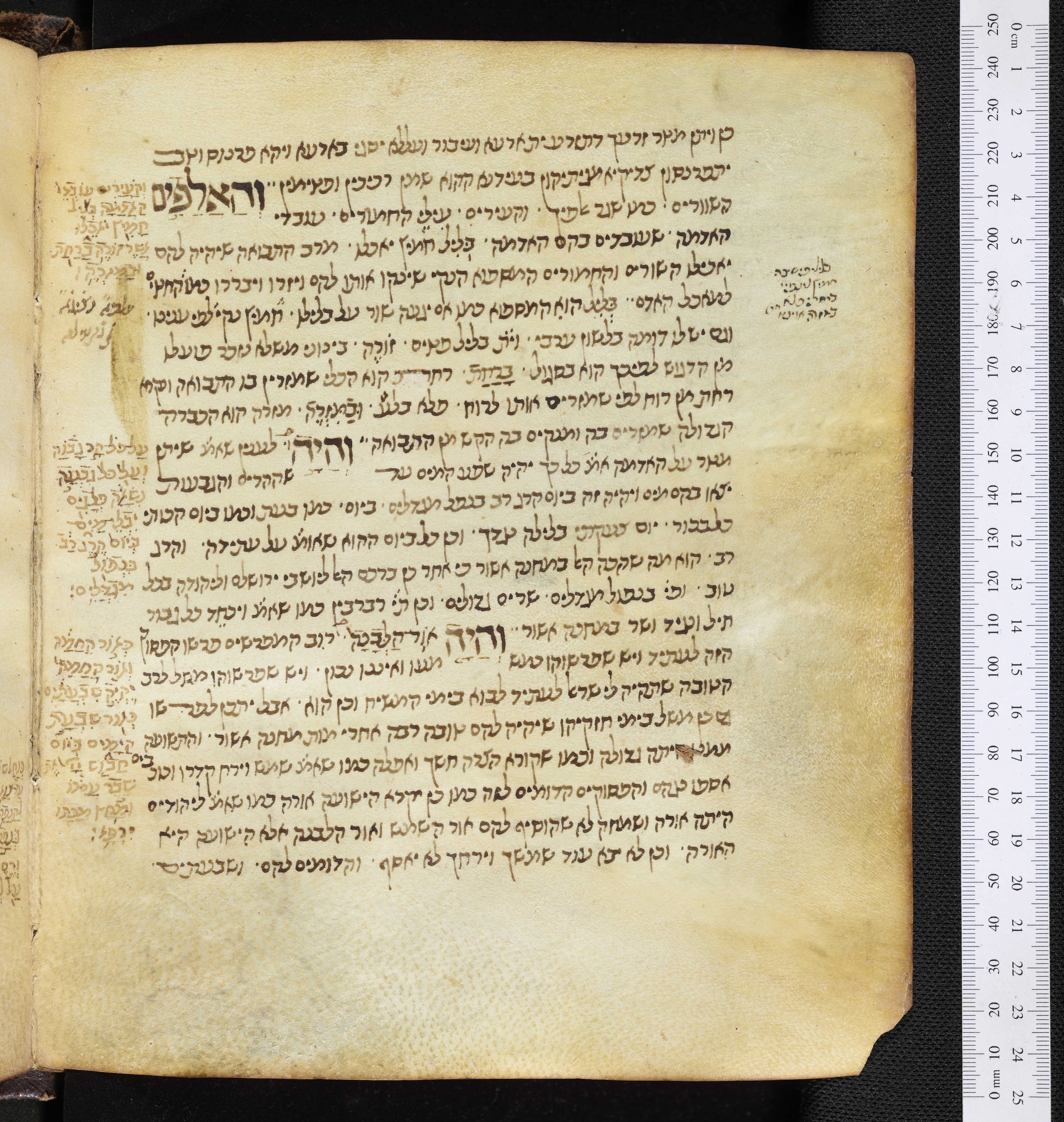 Image of item, e.g. a manuscript page