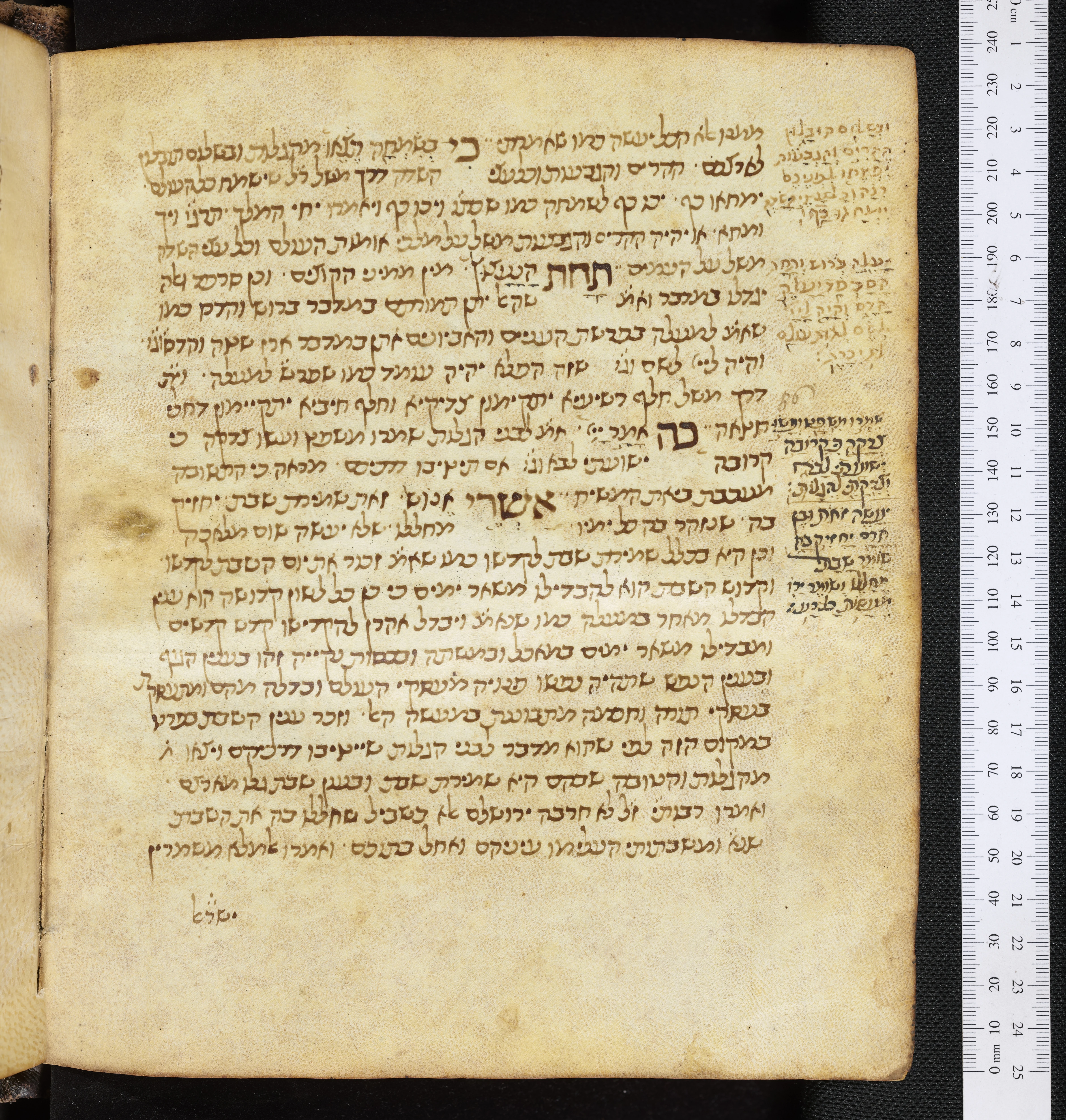 Image of item, e.g. a manuscript page