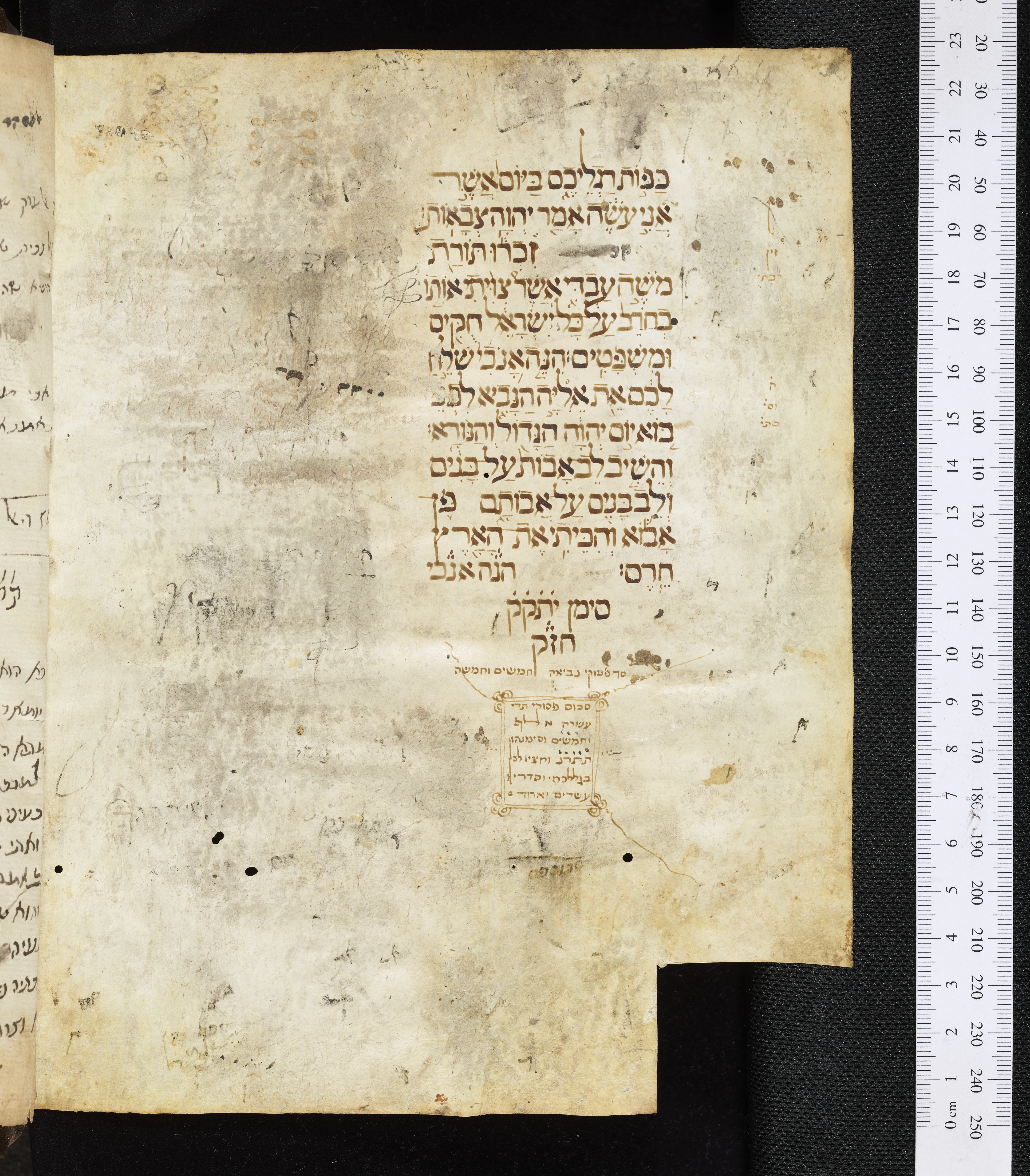 Image of item, e.g. a manuscript page