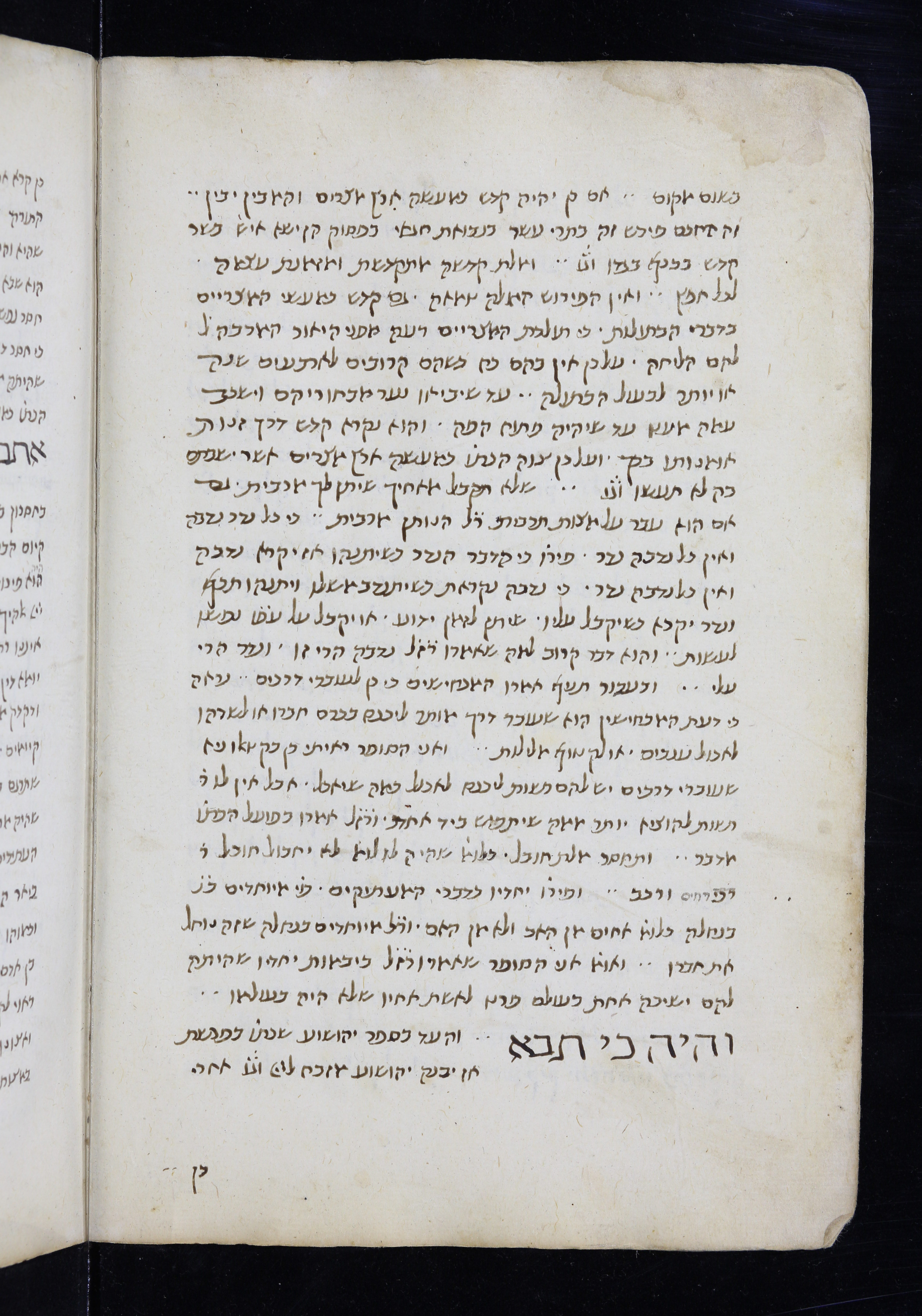Image of item, e.g. a manuscript page