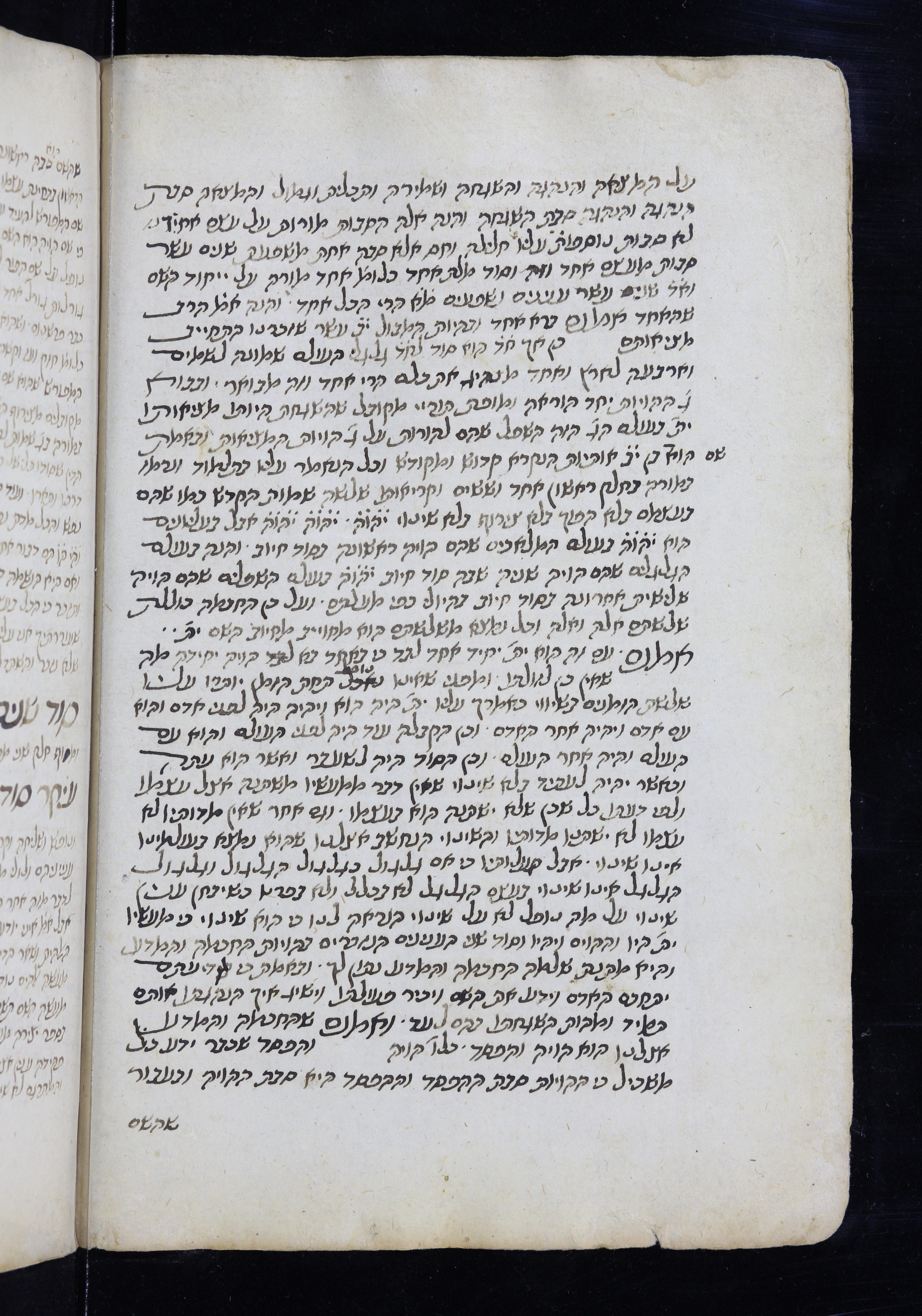 Image of item, e.g. a manuscript page