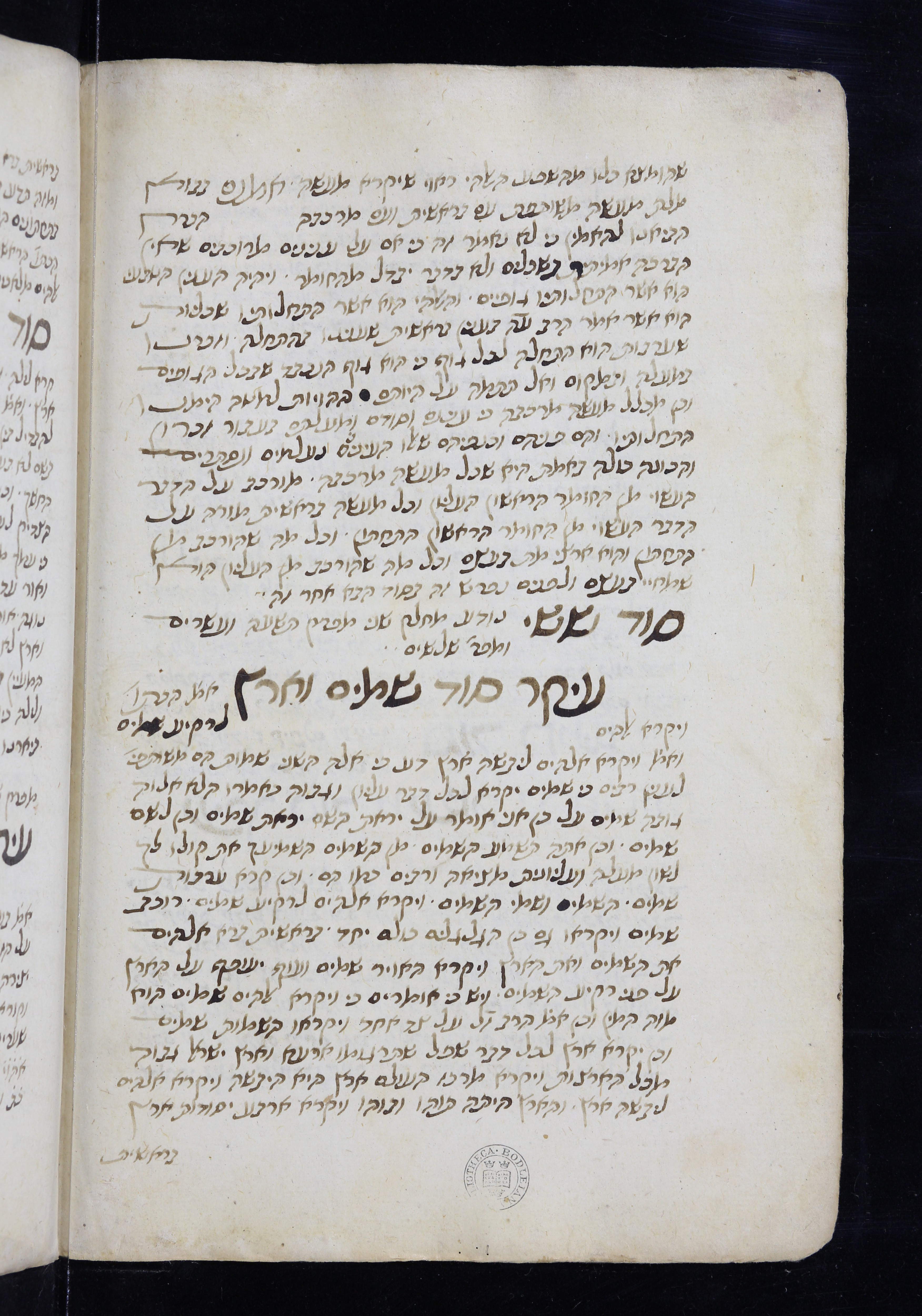 Image of item, e.g. a manuscript page
