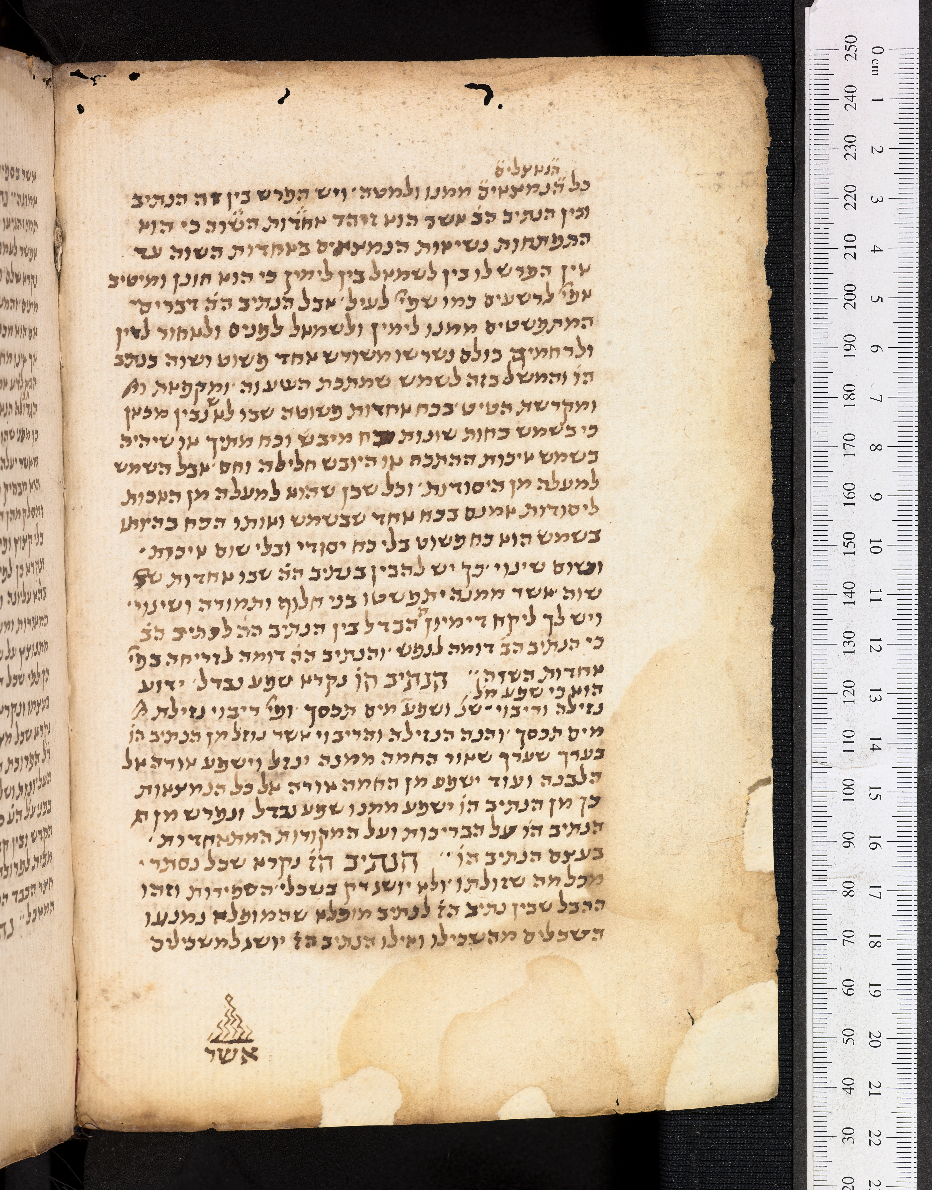 Image of item, e.g. a manuscript page