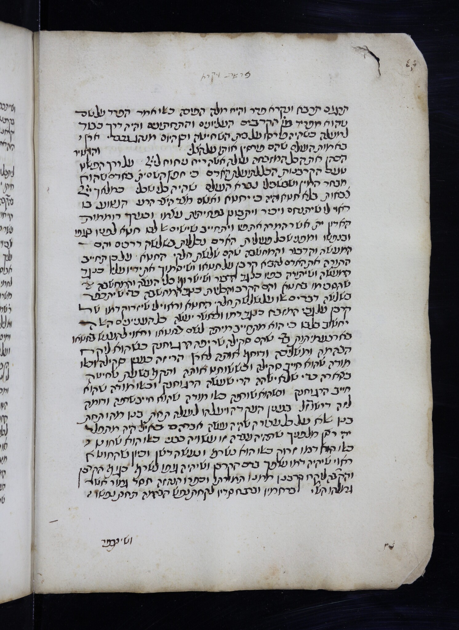 Image of item, e.g. a manuscript page