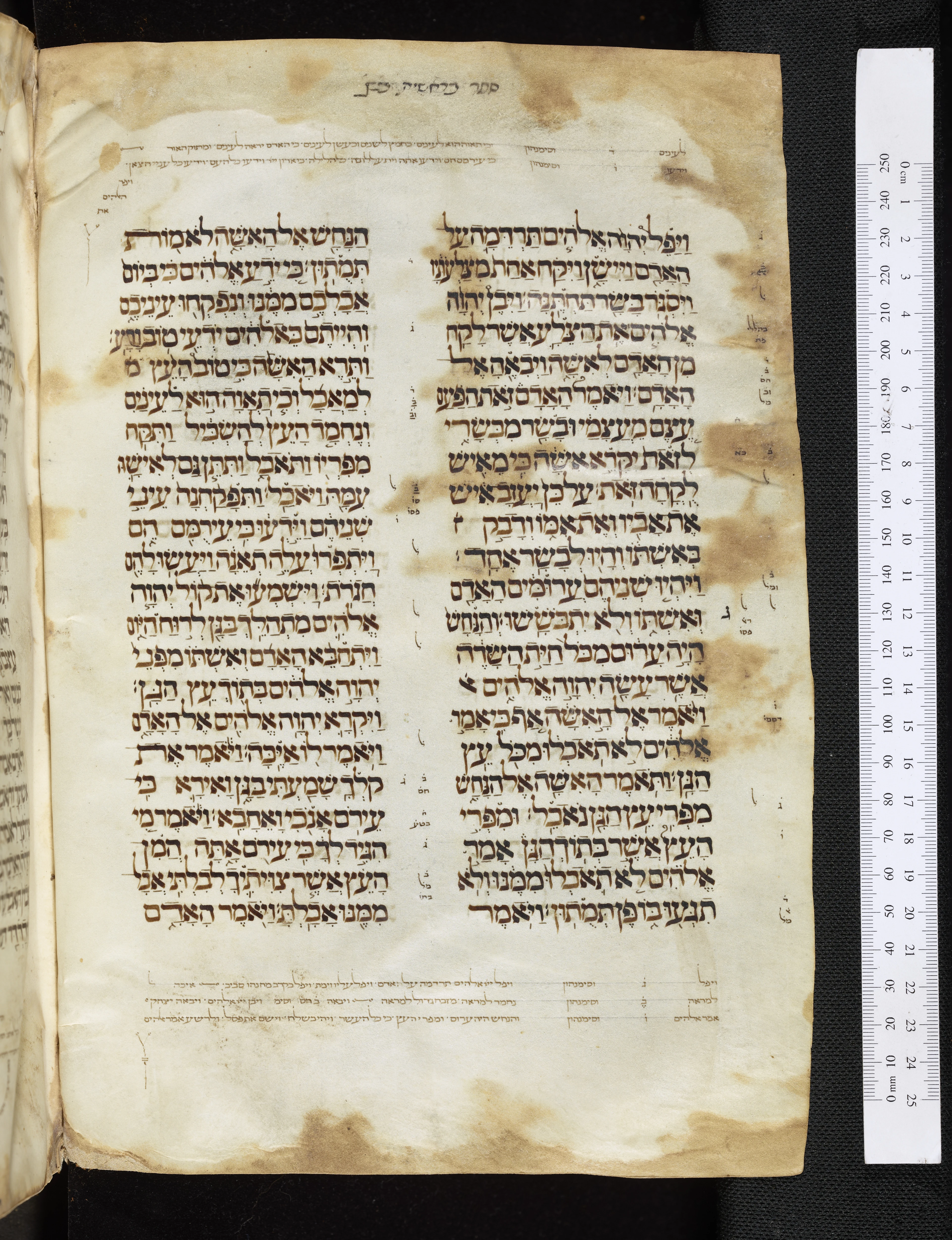 Image of item, e.g. a manuscript page