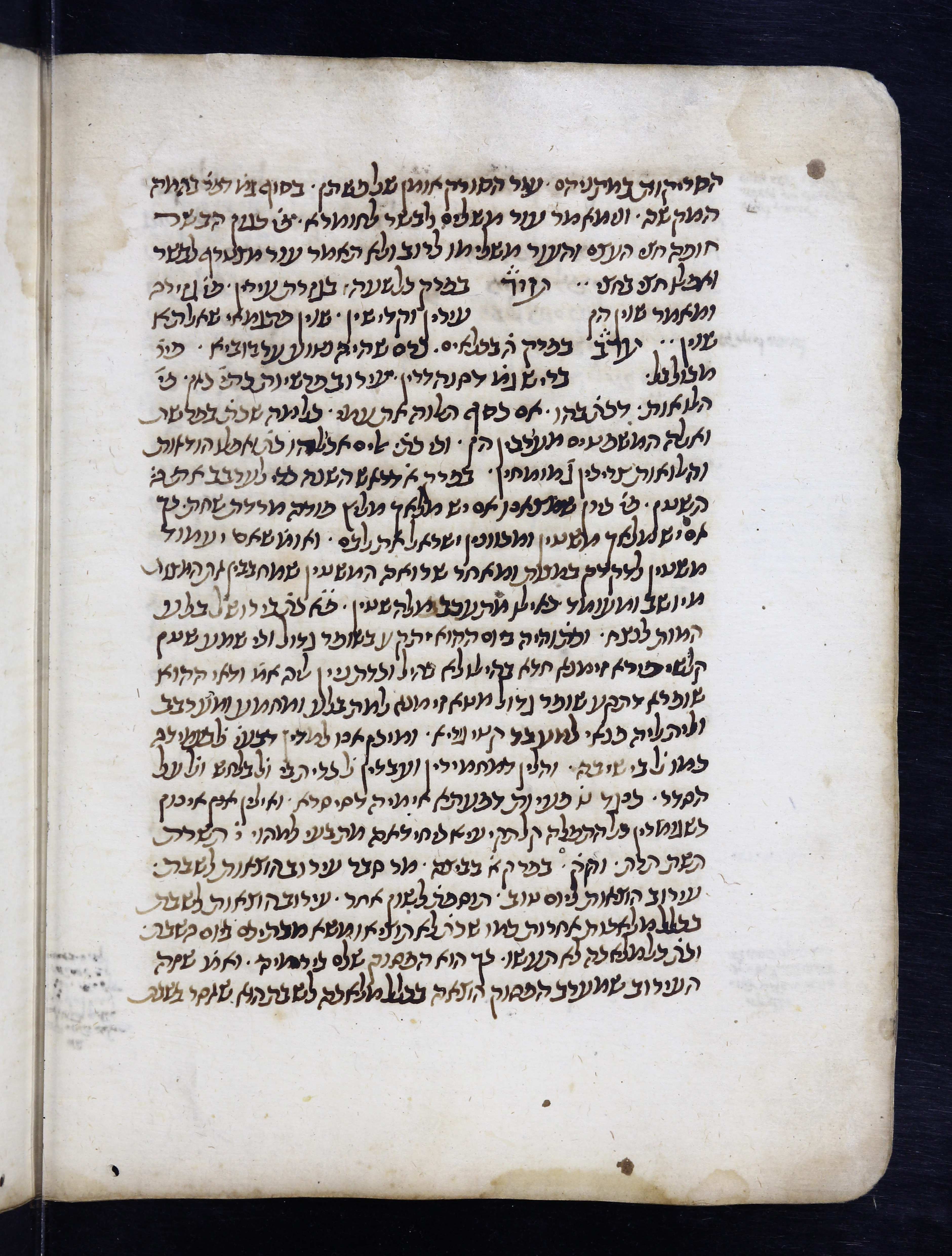 Image of item, e.g. a manuscript page