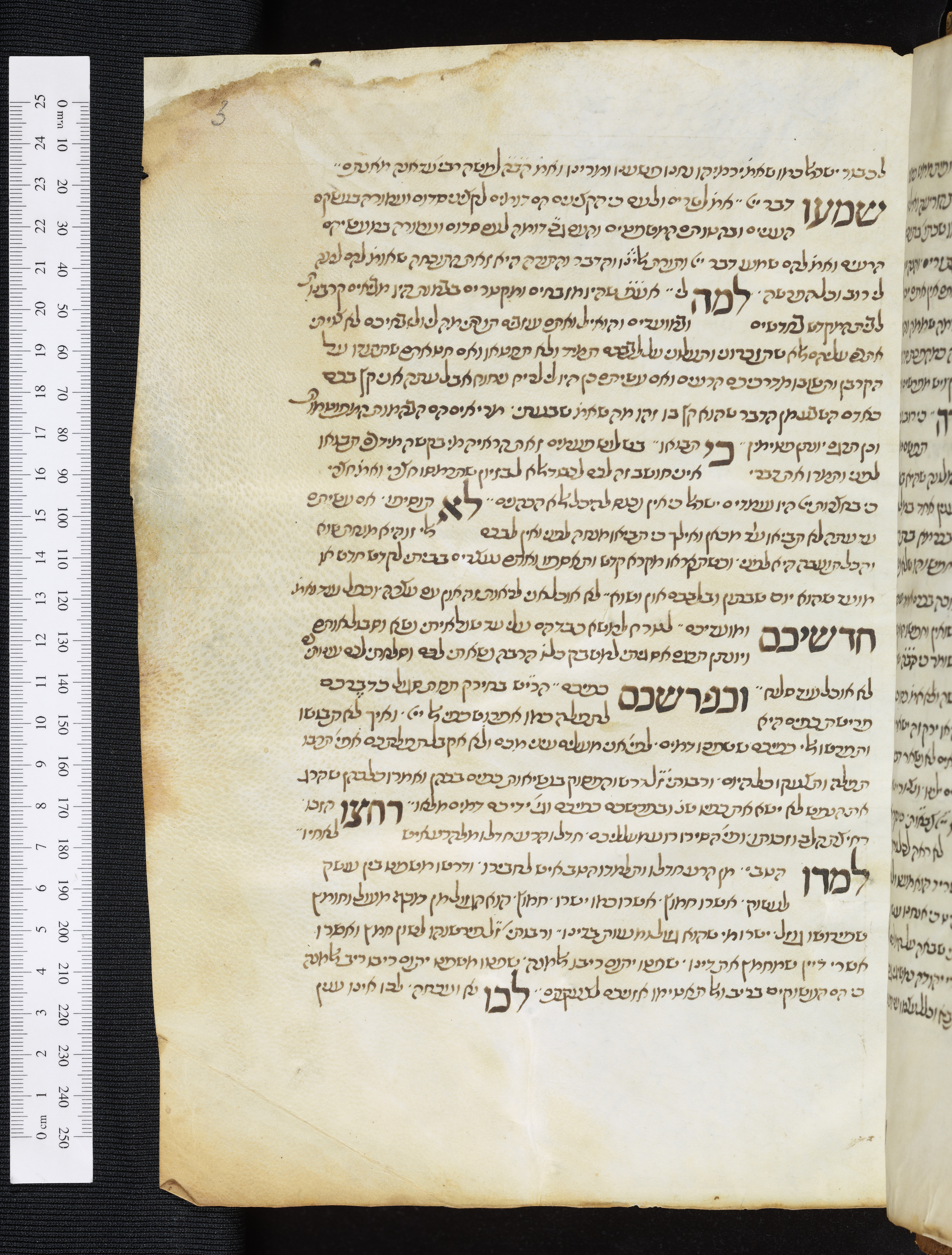 Image of item, e.g. a manuscript page