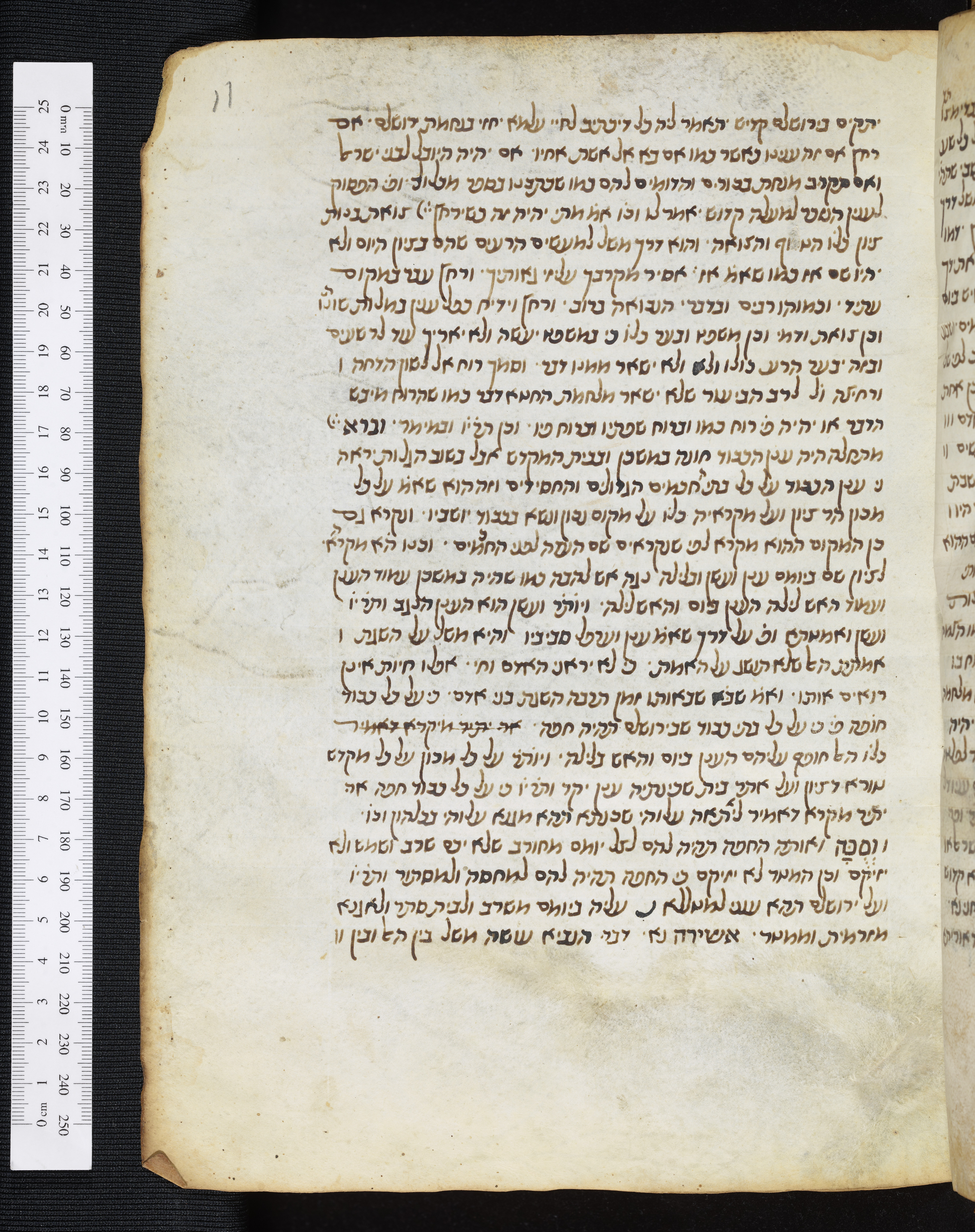 Image of item, e.g. a manuscript page