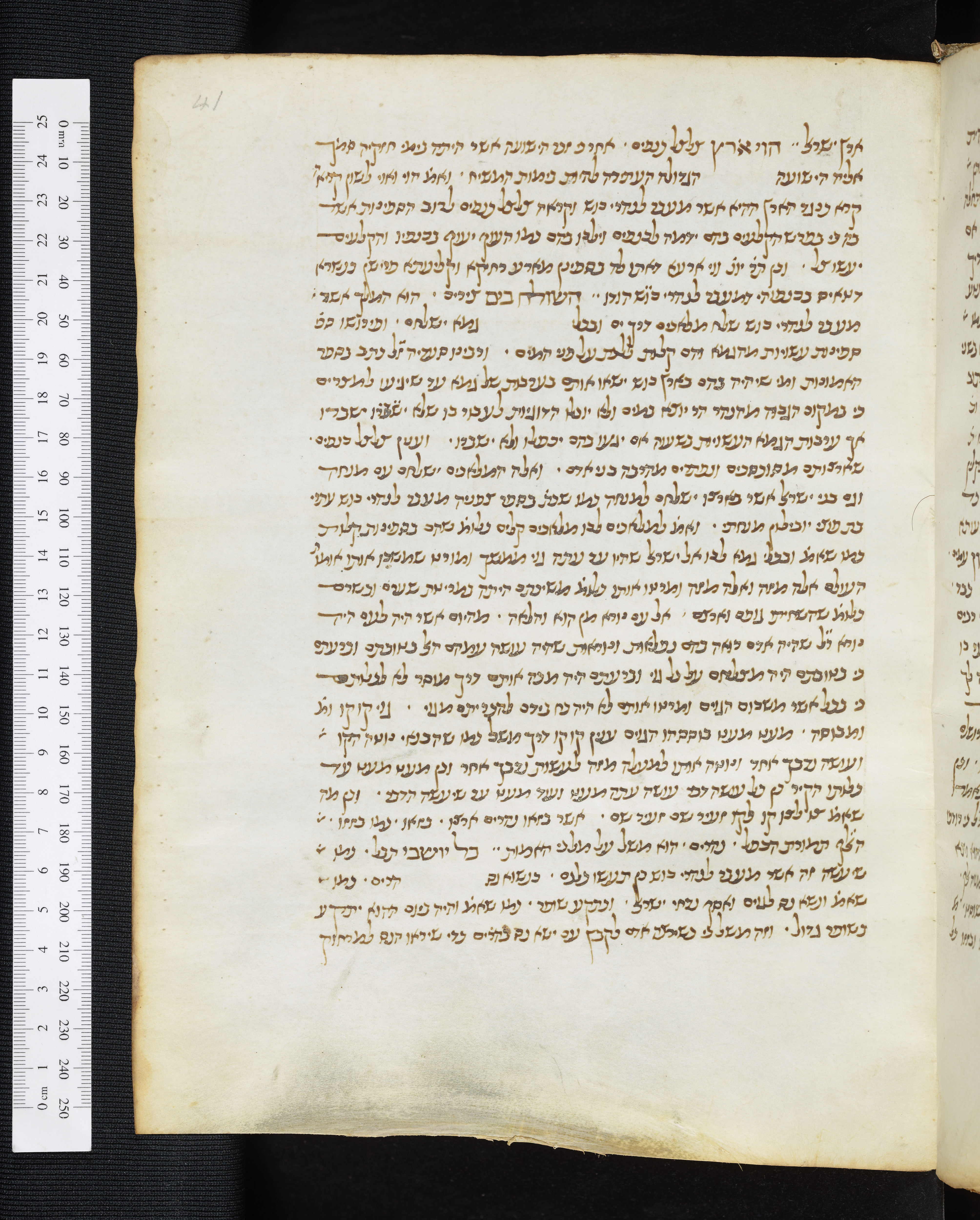 Image of item, e.g. a manuscript page