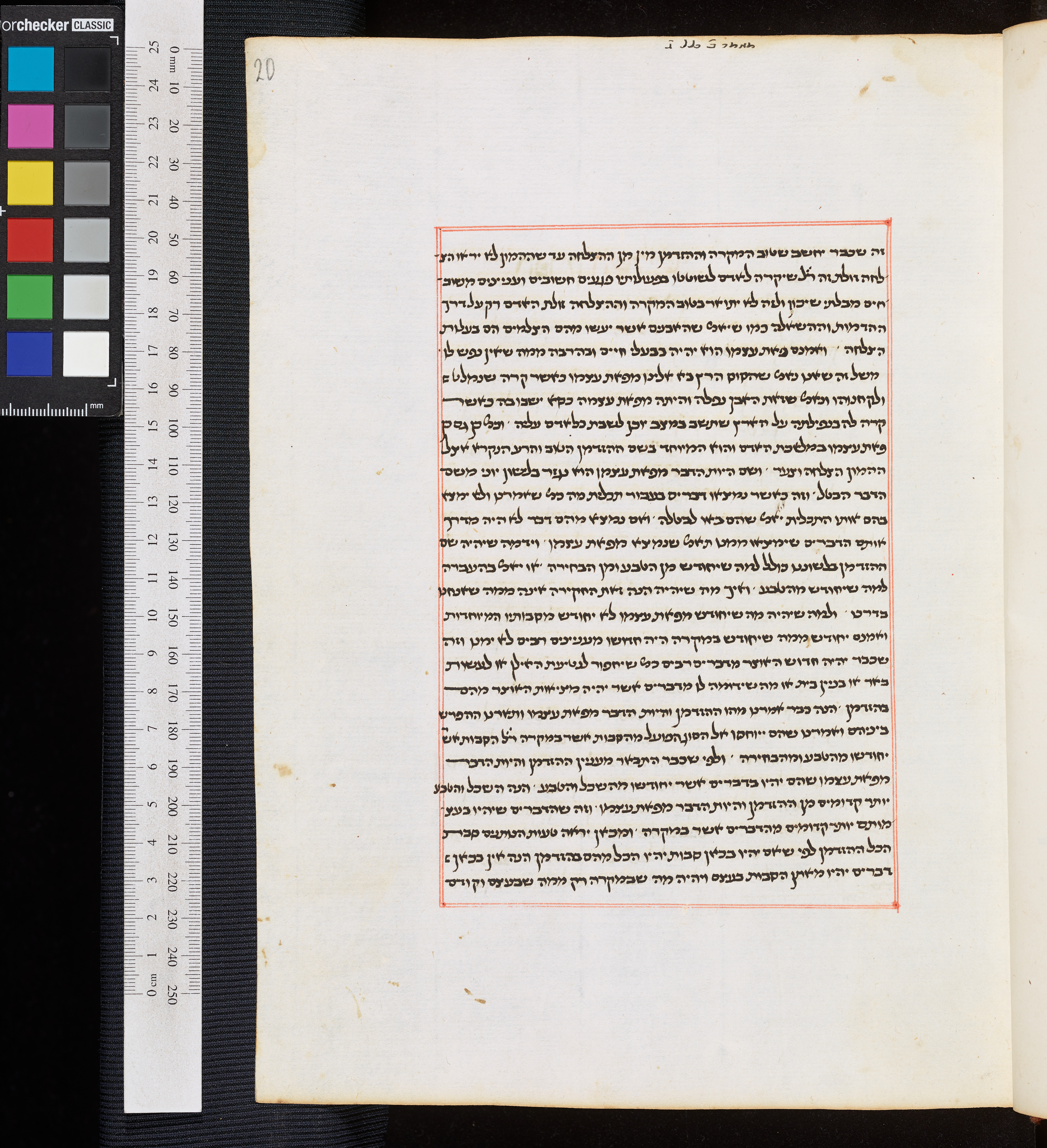 Image of item, e.g. a manuscript page